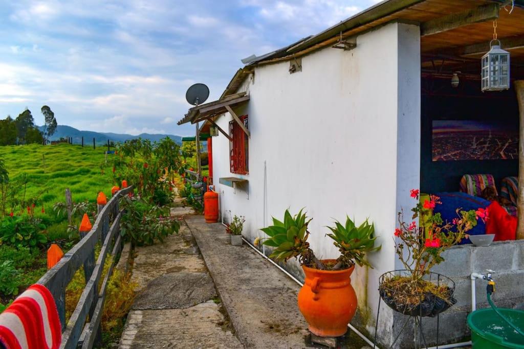 Casa de Campo en San Pedro