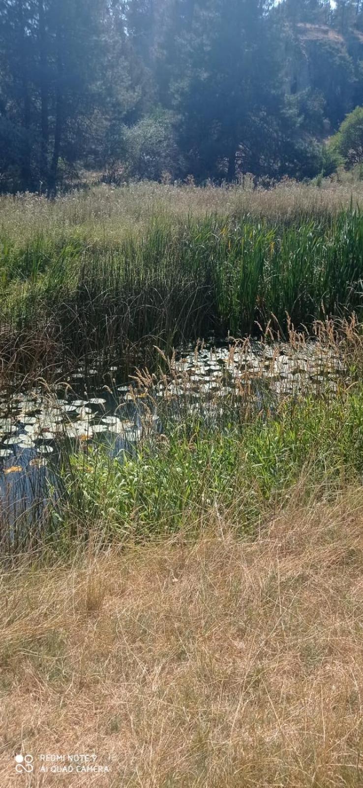 Entrada Río Lobos