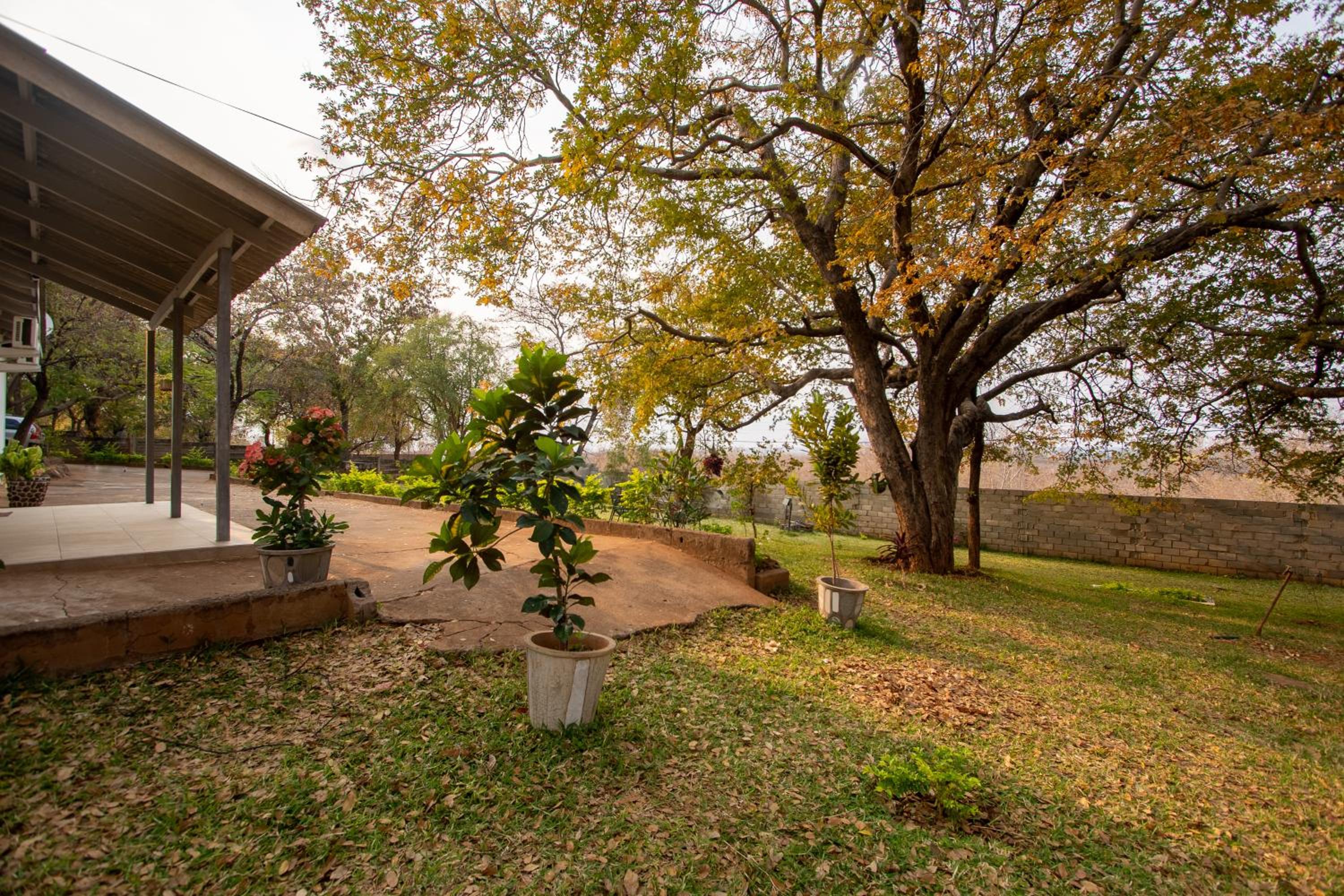 Wood Road Guest Lodge view 5