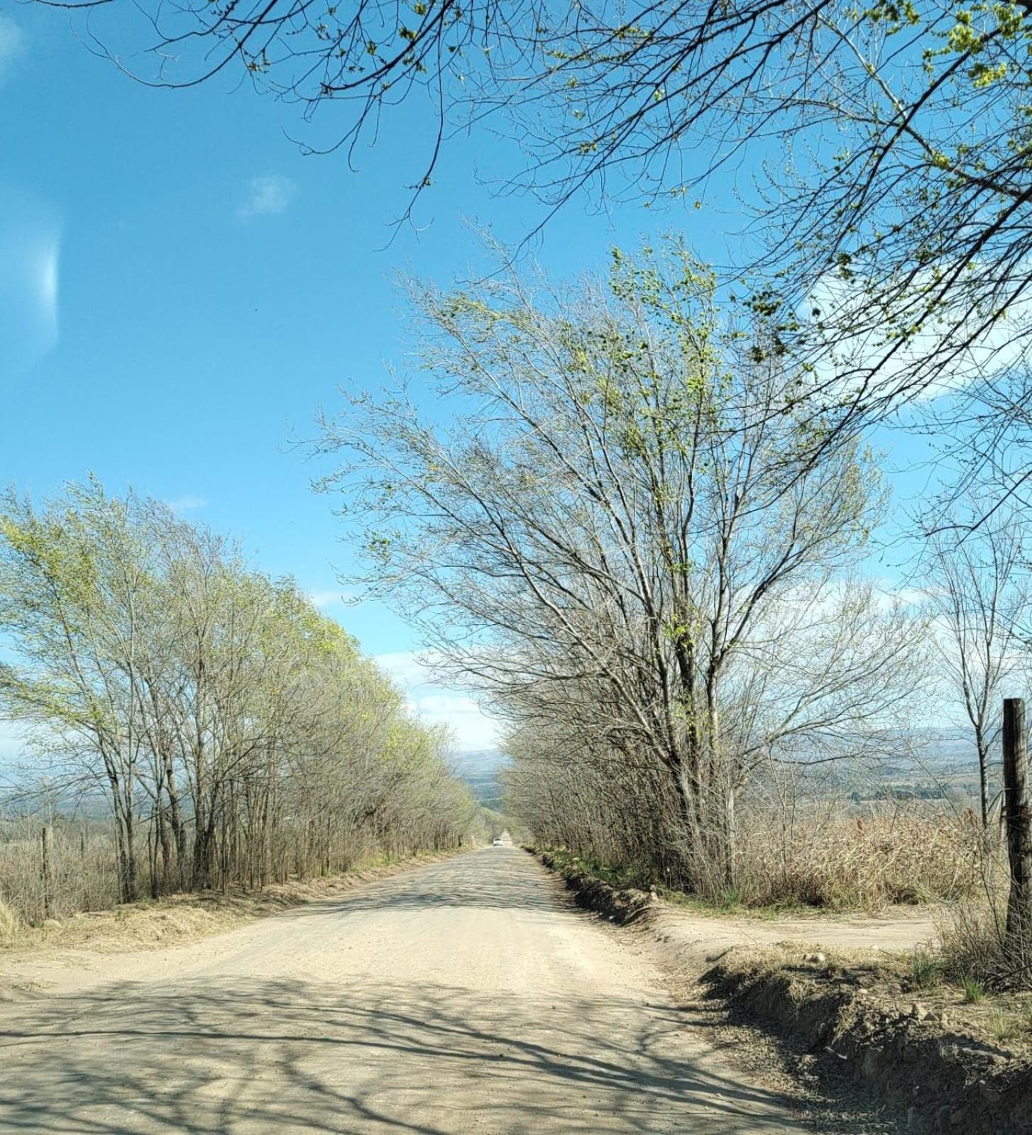 Cabañas en los reartes Rudicasti