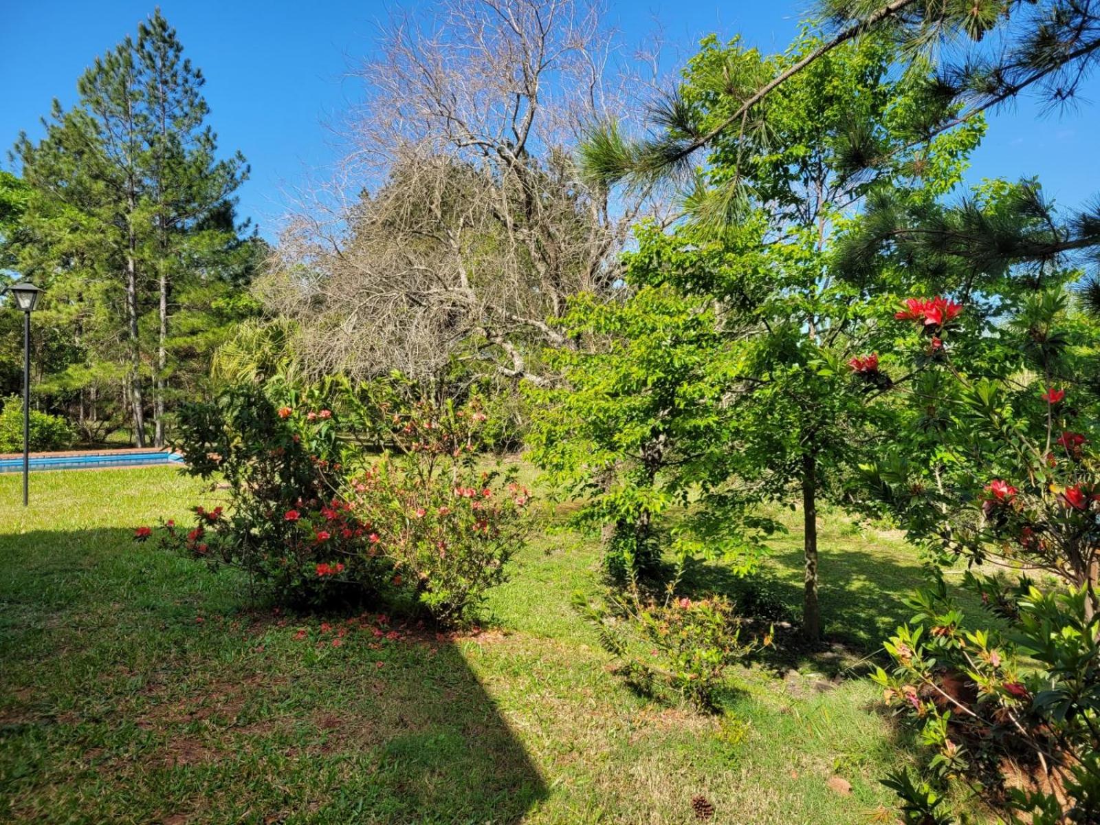 Quinta Germania