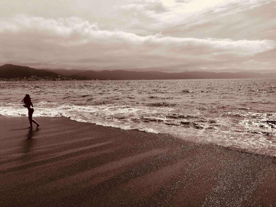 Photo 50