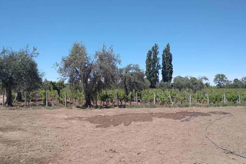 La Casona, chalet rural en finca con piscina JUNÍN DE MENDOZA