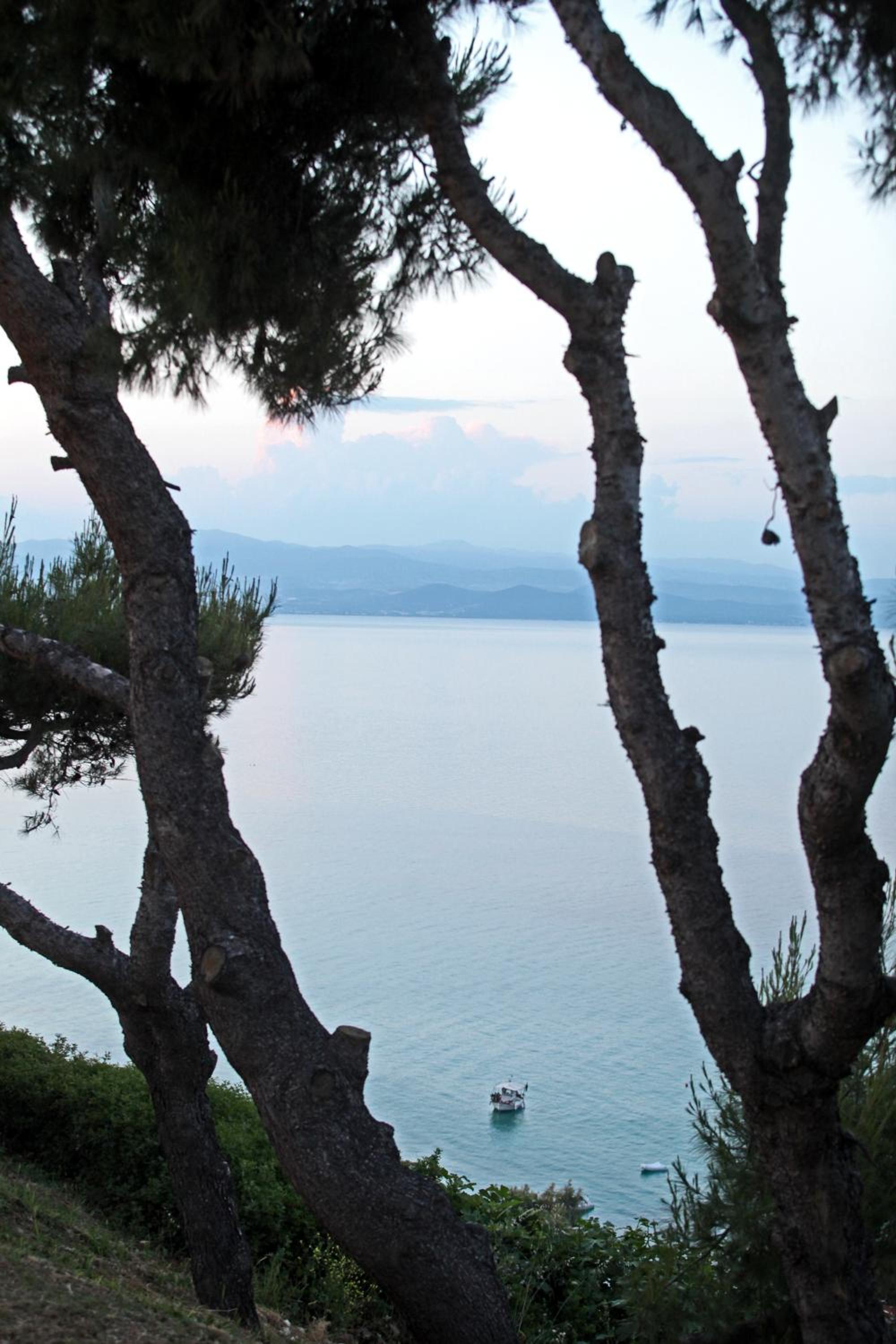 Sea View Apollo Apartments & Studios in Afytos