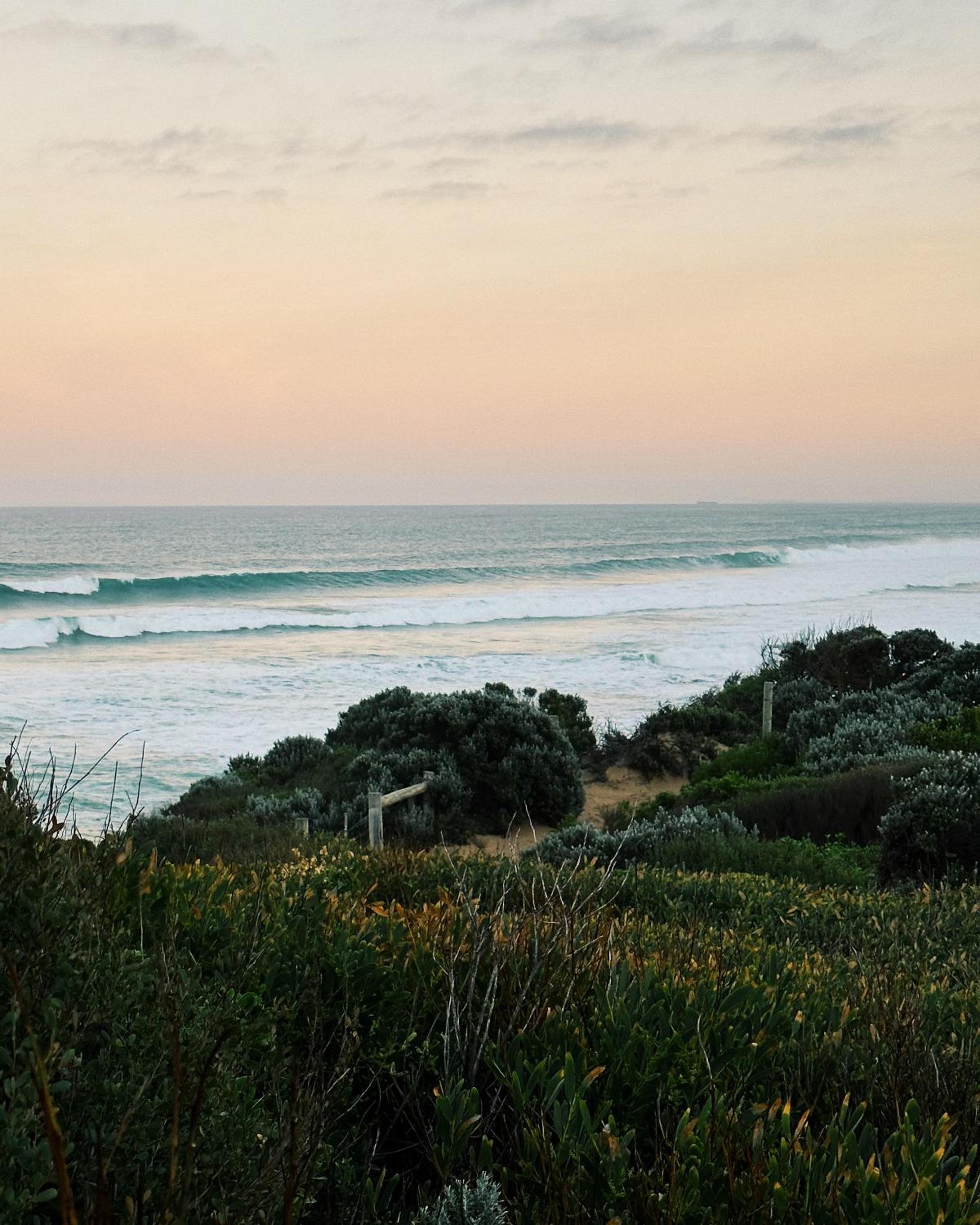 Nerissa – Rye