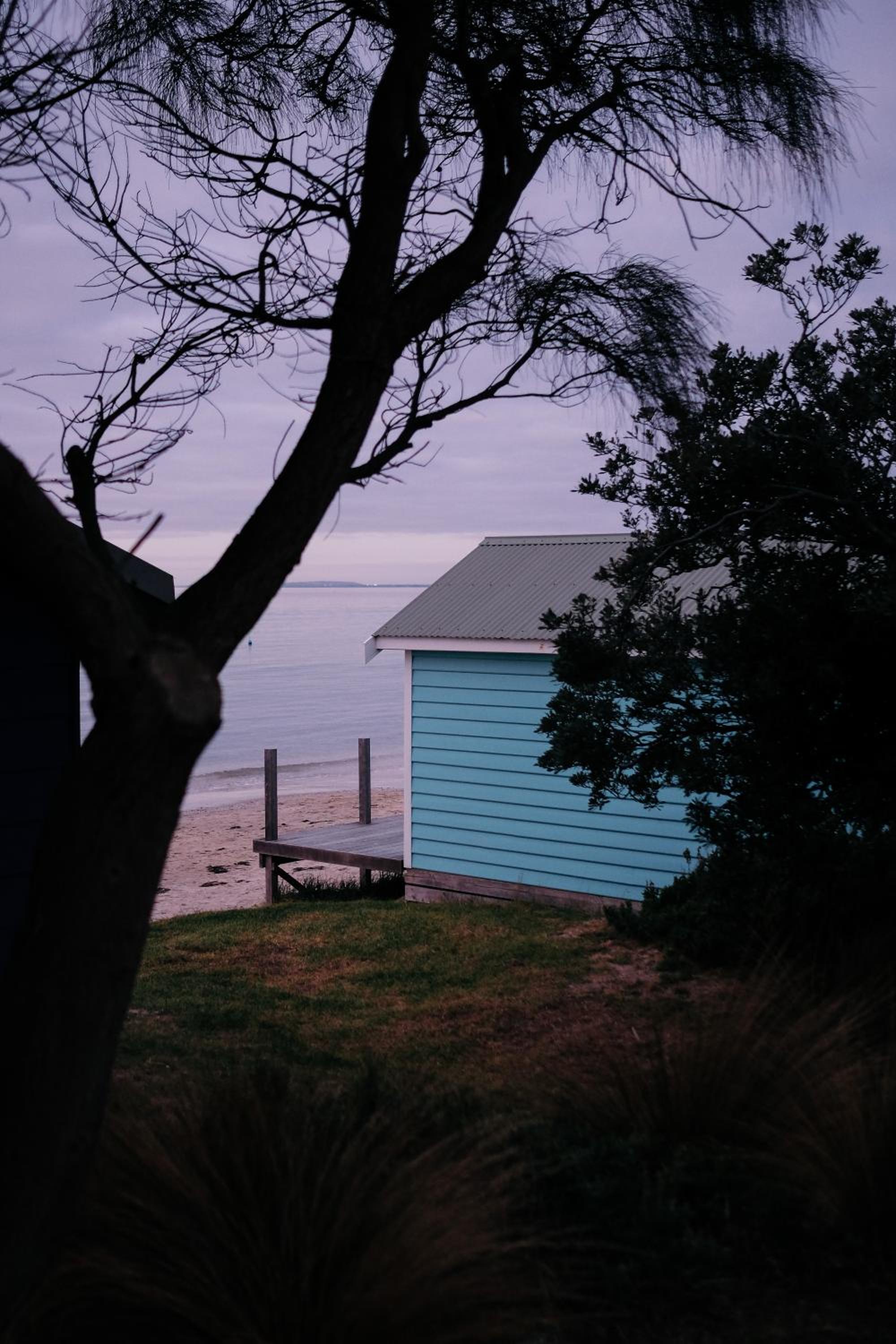 Nerissa – Rye