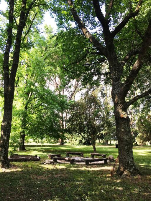 Quinta Totalmente Equipada Con Laguna Privado