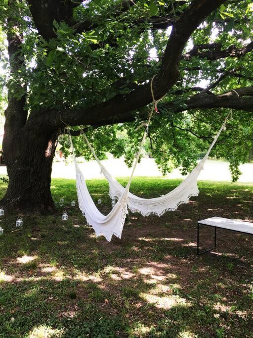 Quinta Totalmente Equipada Con Laguna Privado