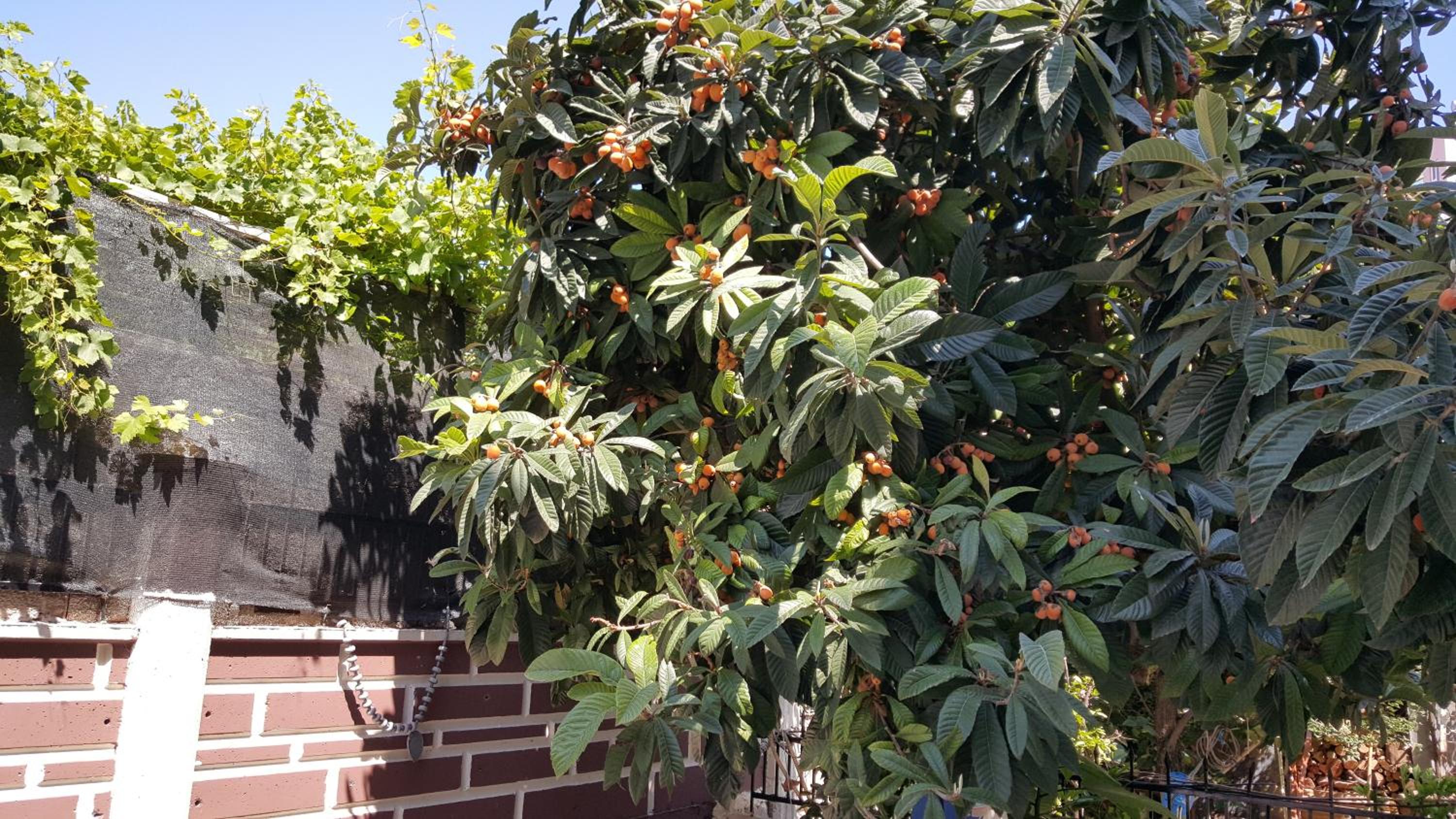 Kartal Hotel - Image 37