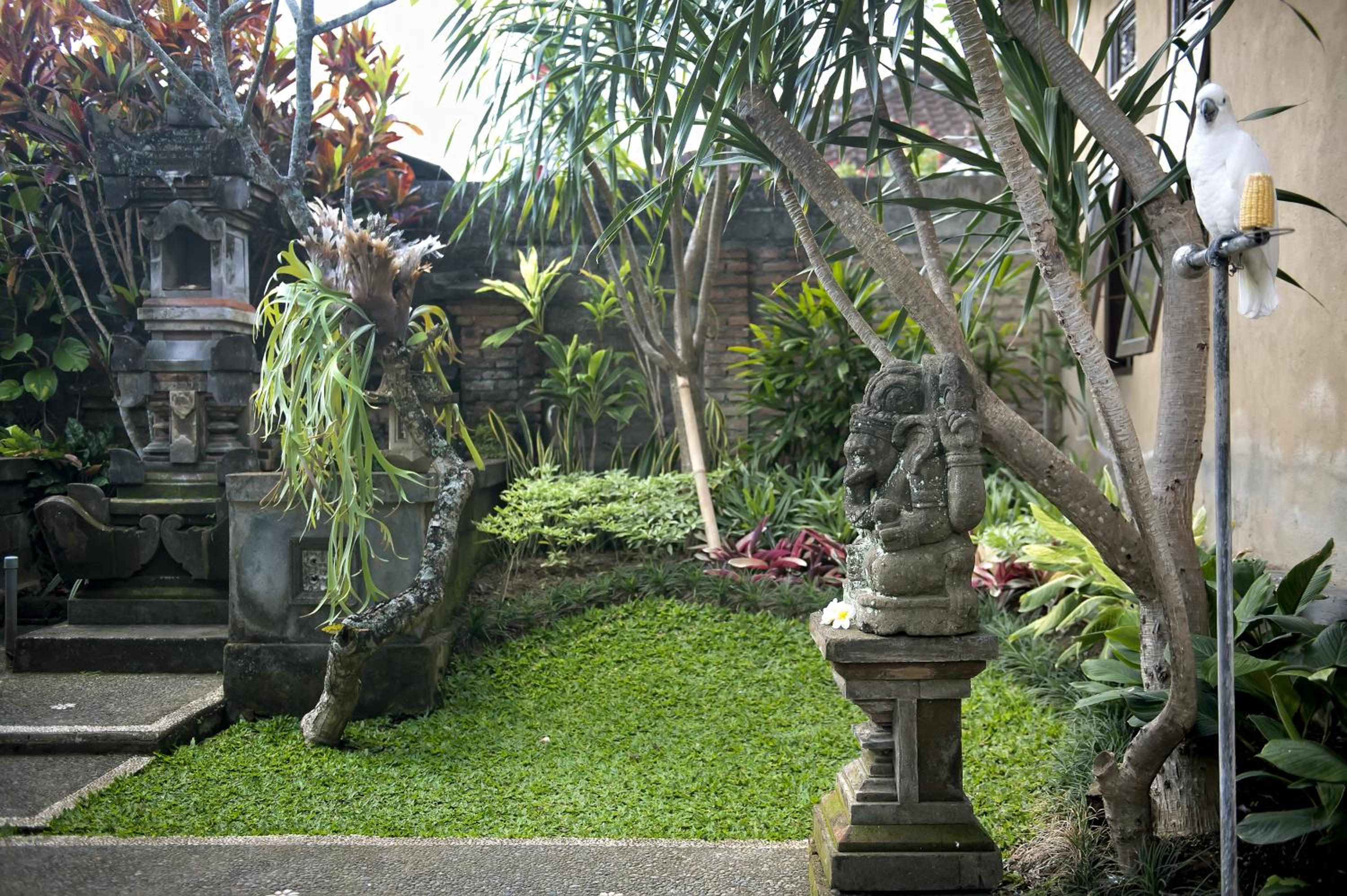 Photo 43