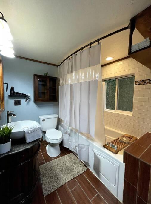 Palmers Cozy Cottage mountainside getaway