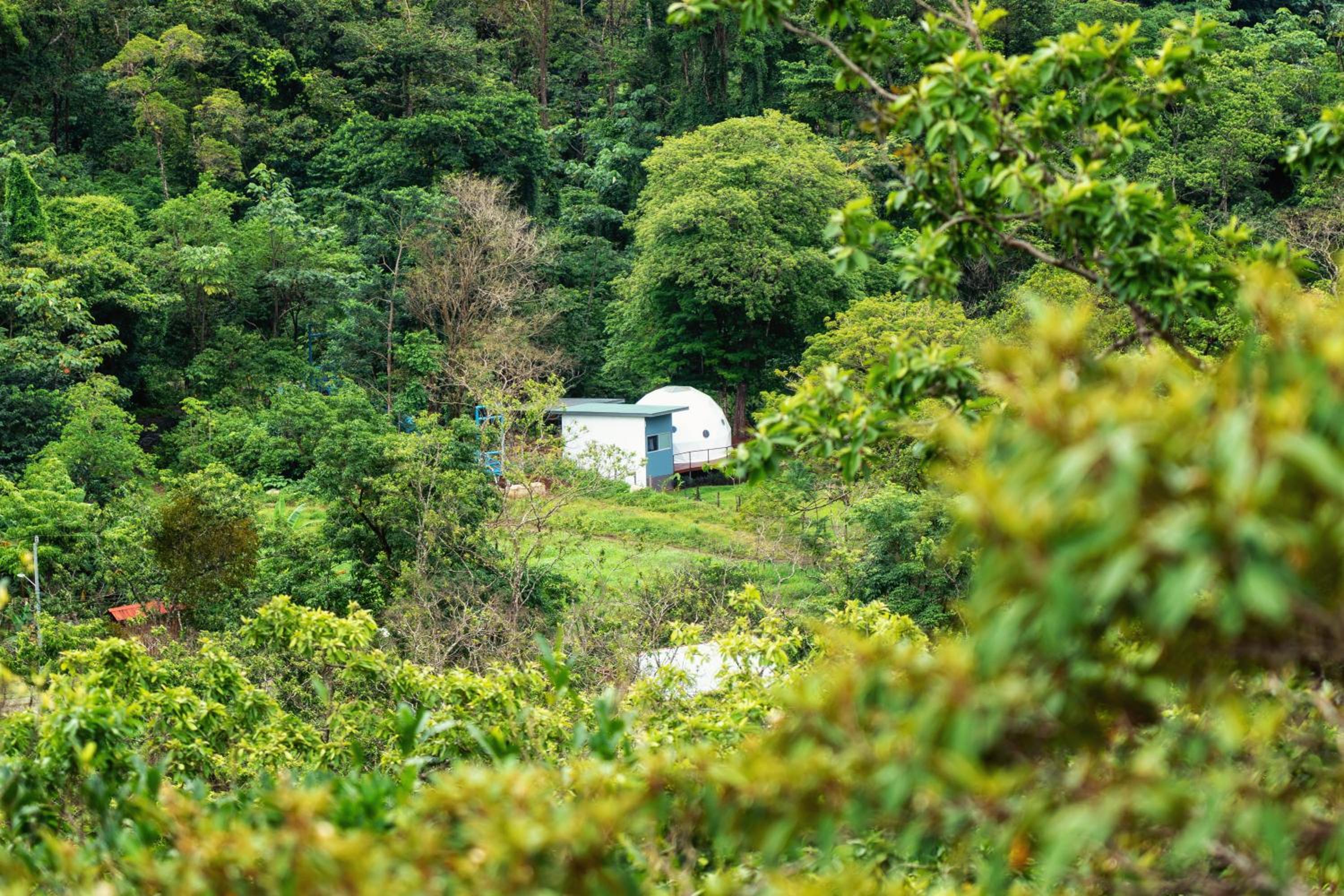Bitzu Dome-Bijagua Riverside Glamping