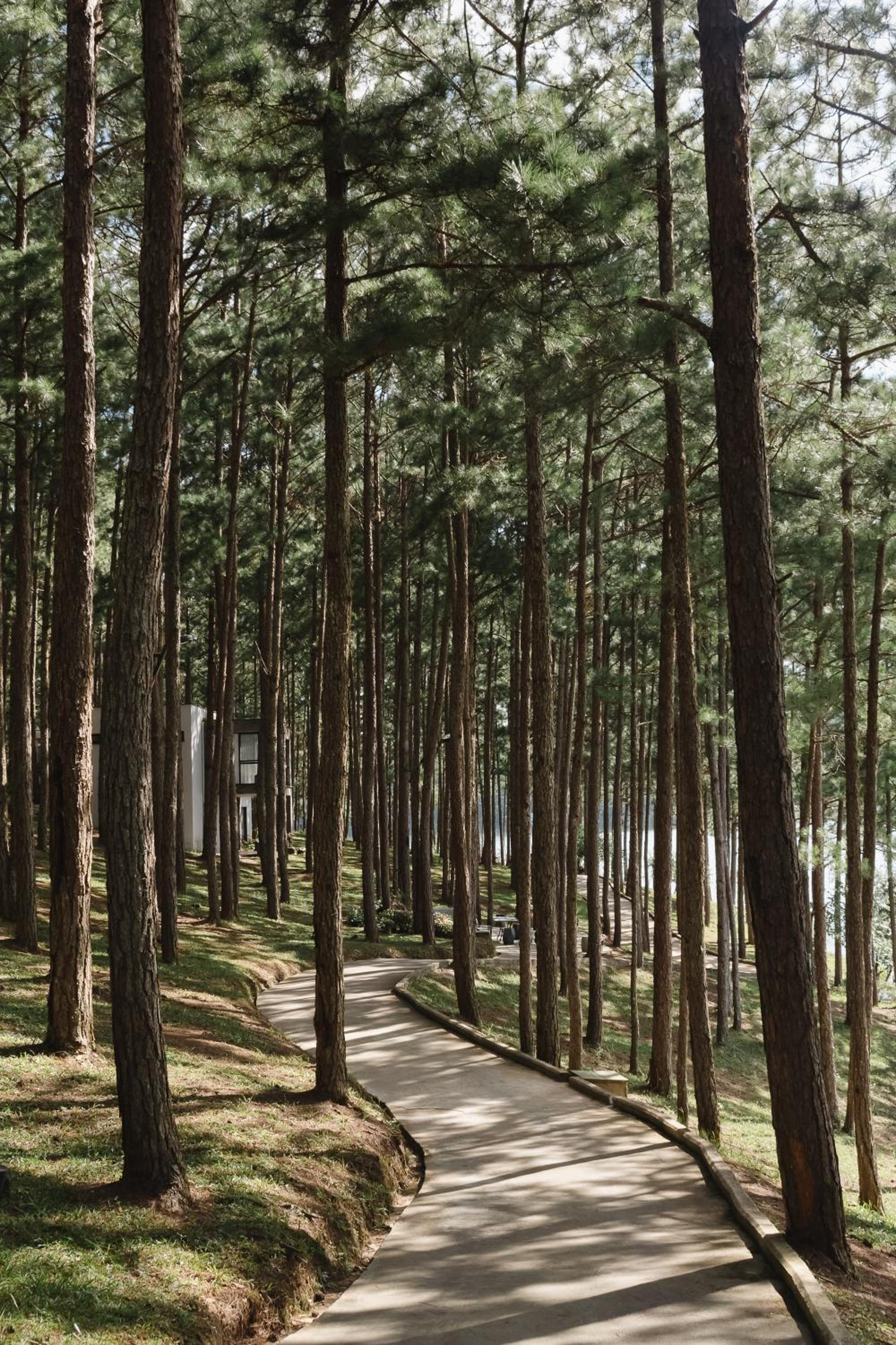 Terracotta Hotel & Resort Dalat