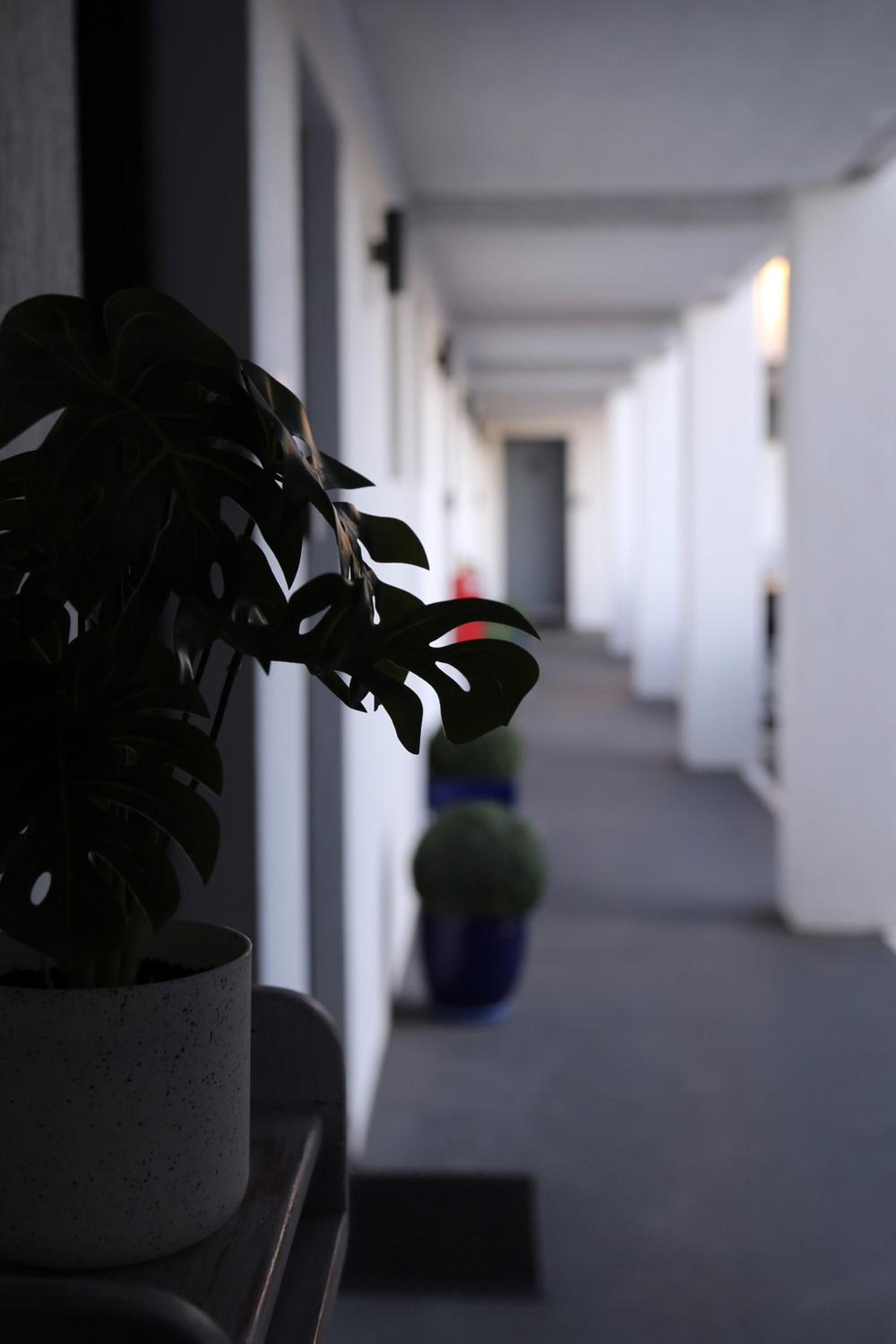 Zorba Waterfront Motel