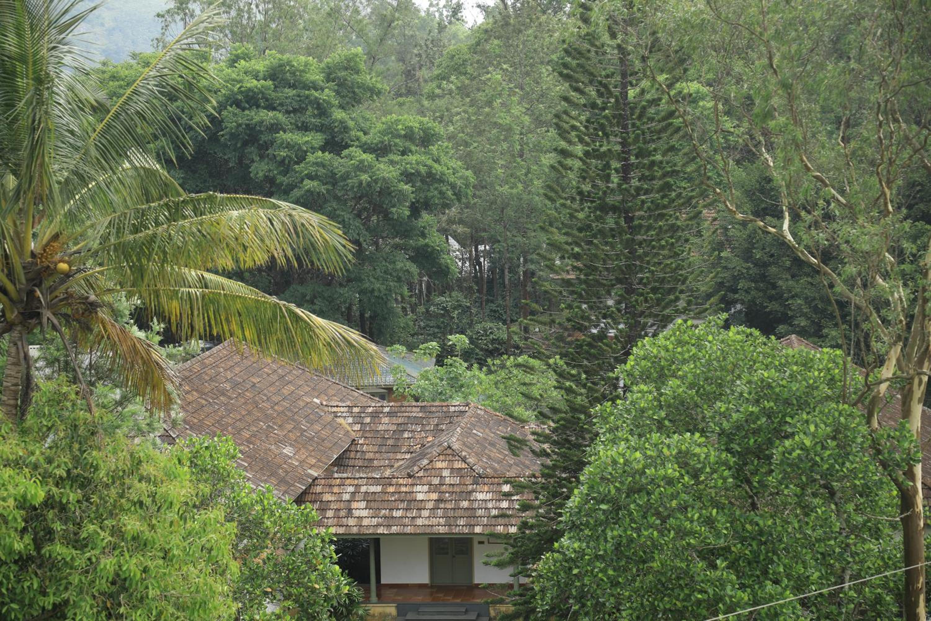 Sahyadri Ayurveda
