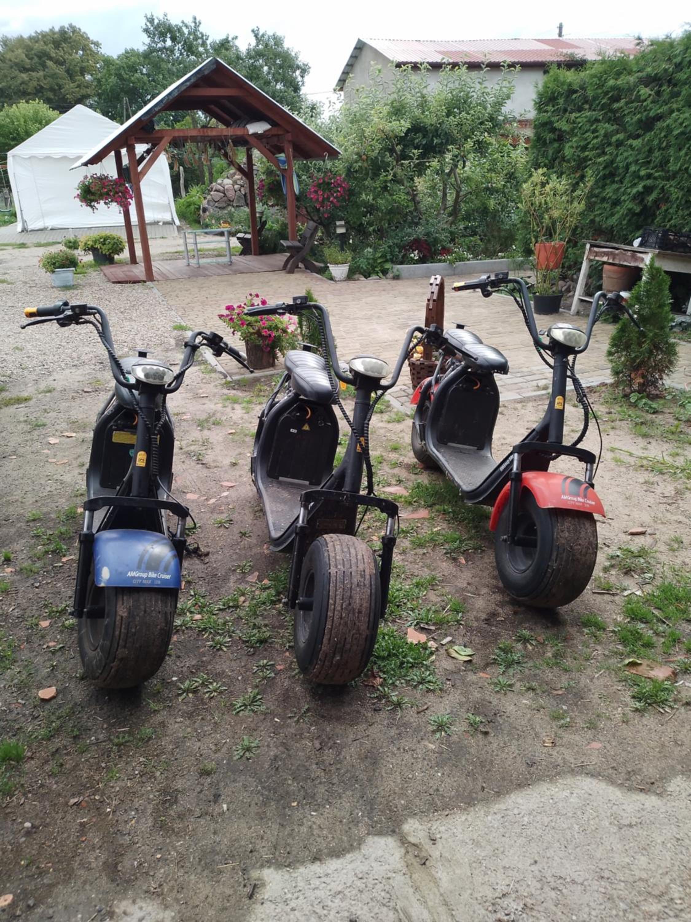Photo 50
