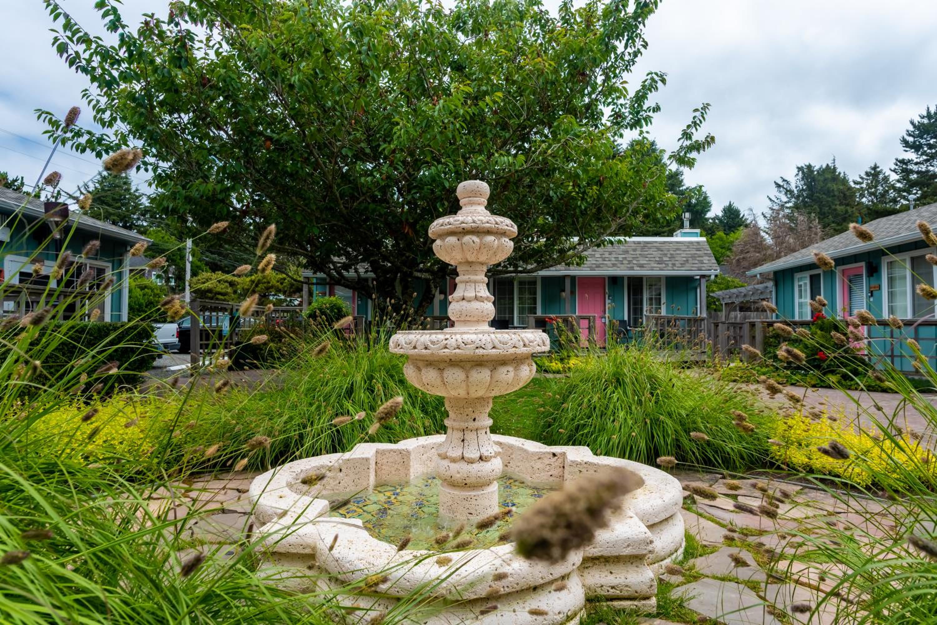 Photo 39