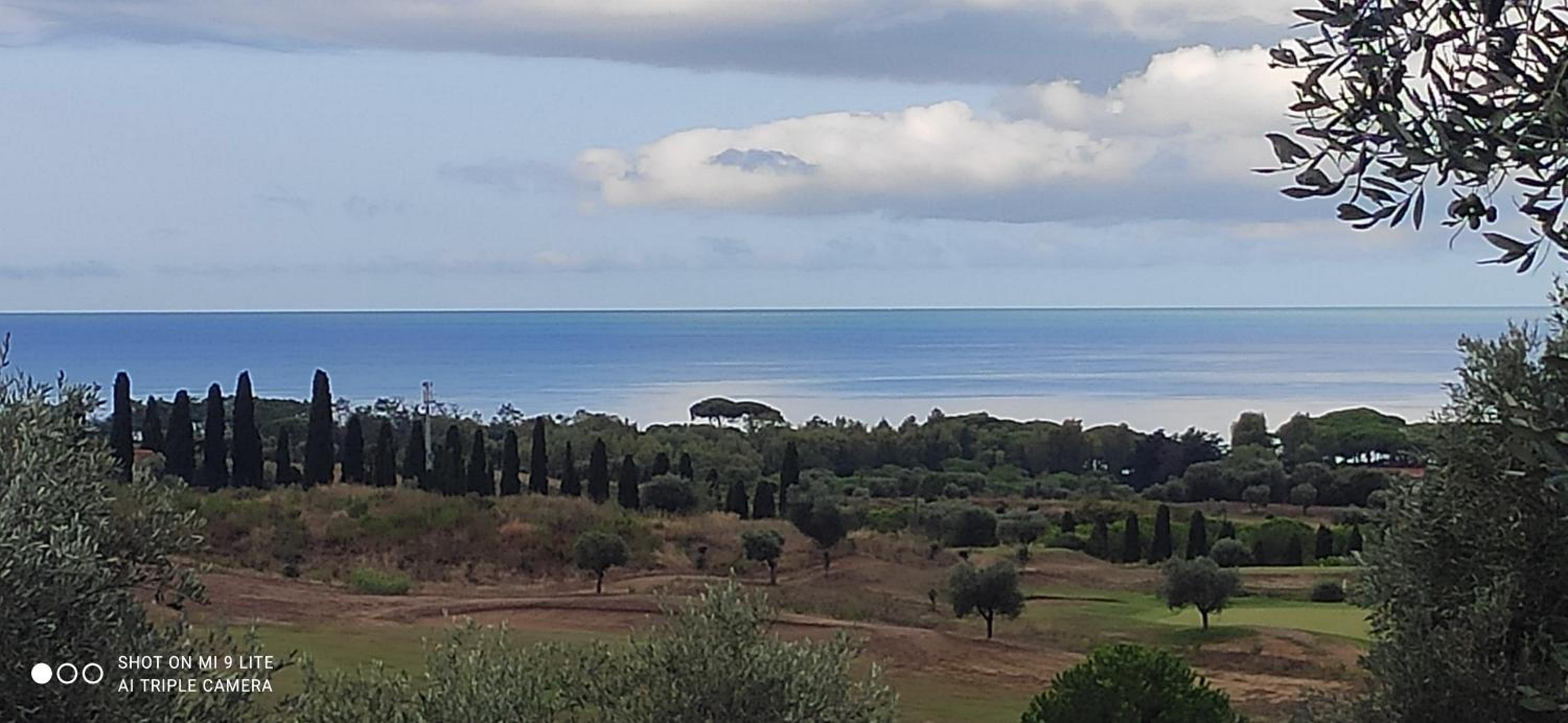 Agriturismo Poggio all'Olivo view 3