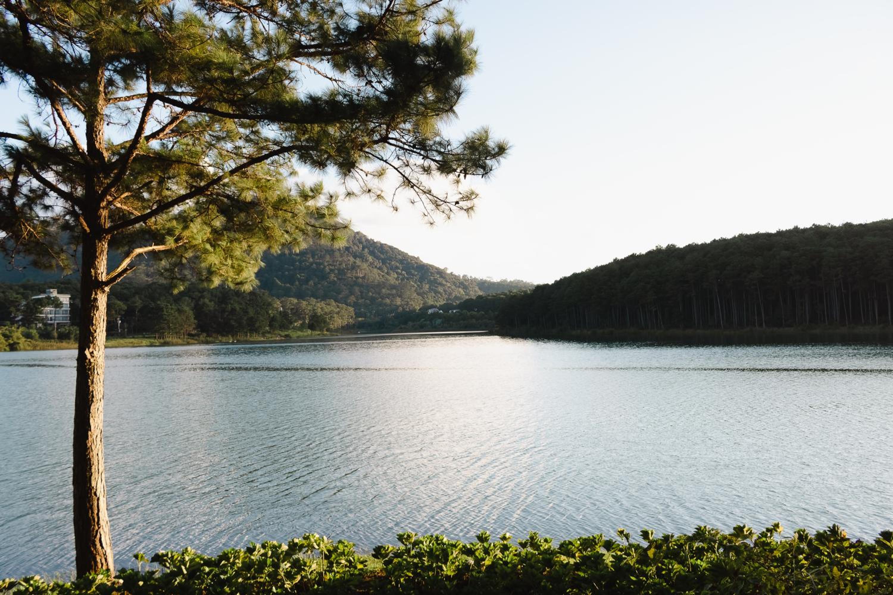Terracotta Hotel & Resort Dalat