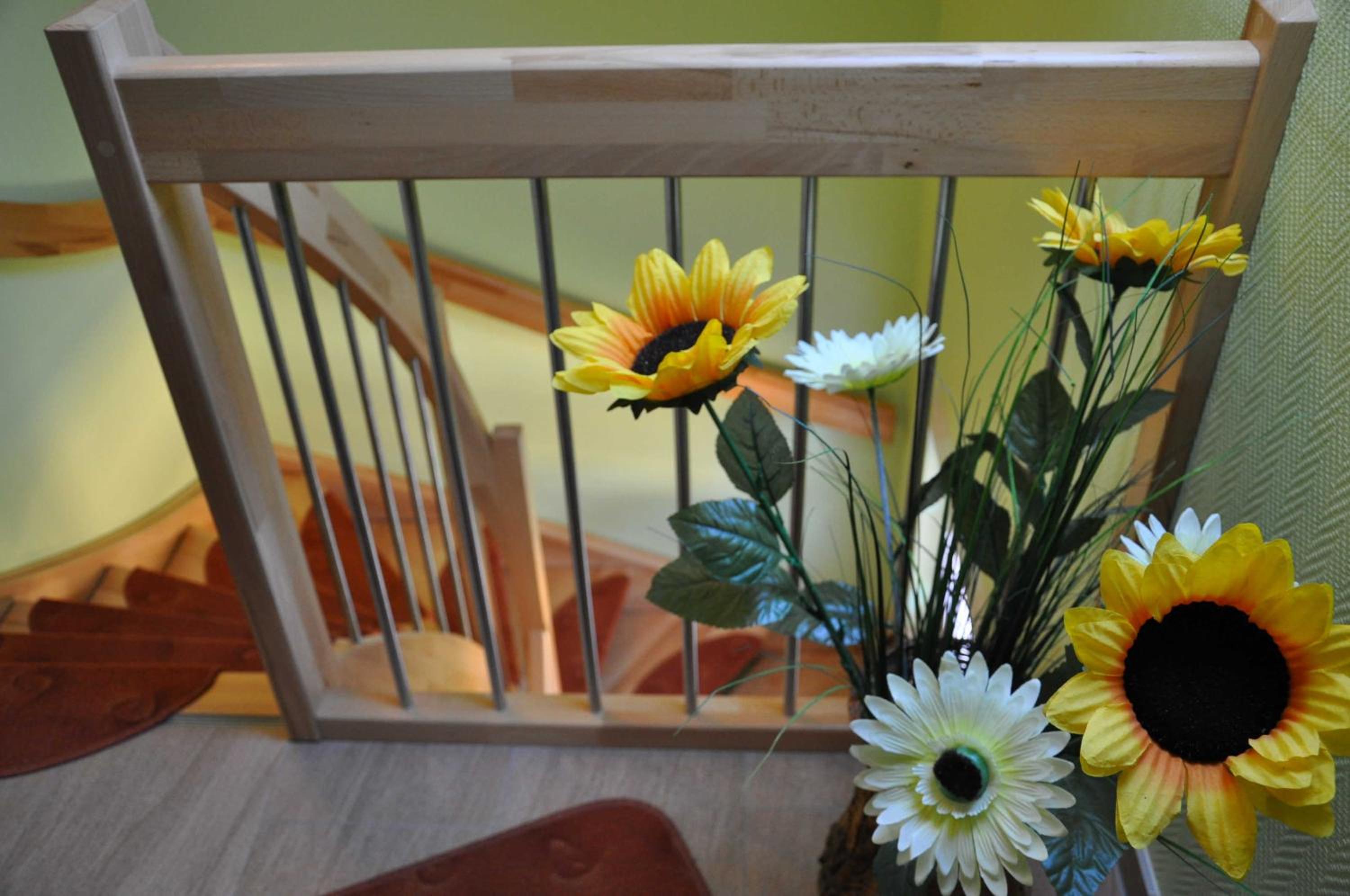 Ferienwohnungen Appartements - Ferienhaus Müritzstern