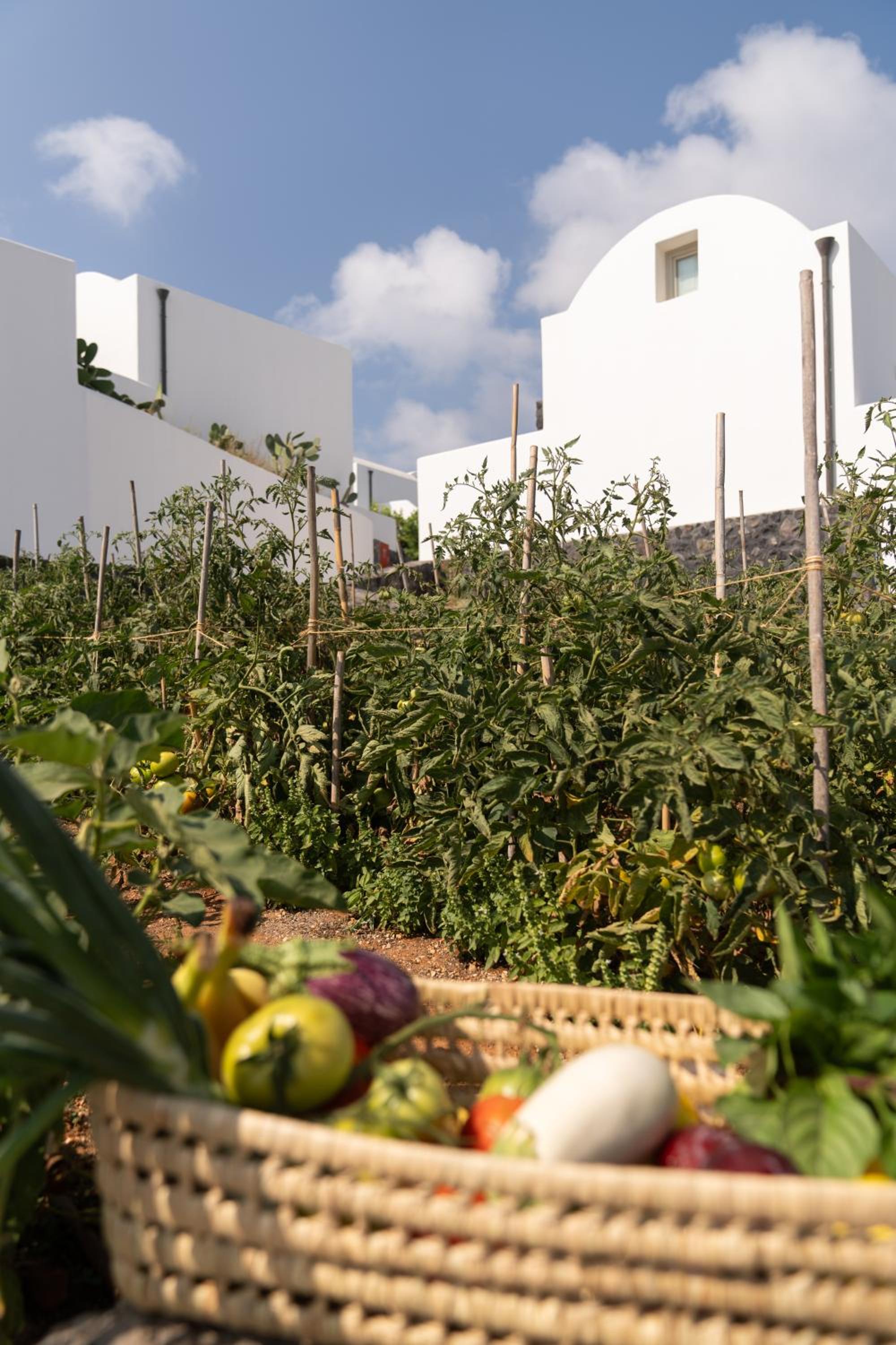 Santo Pure Oia Suites & Villas 63