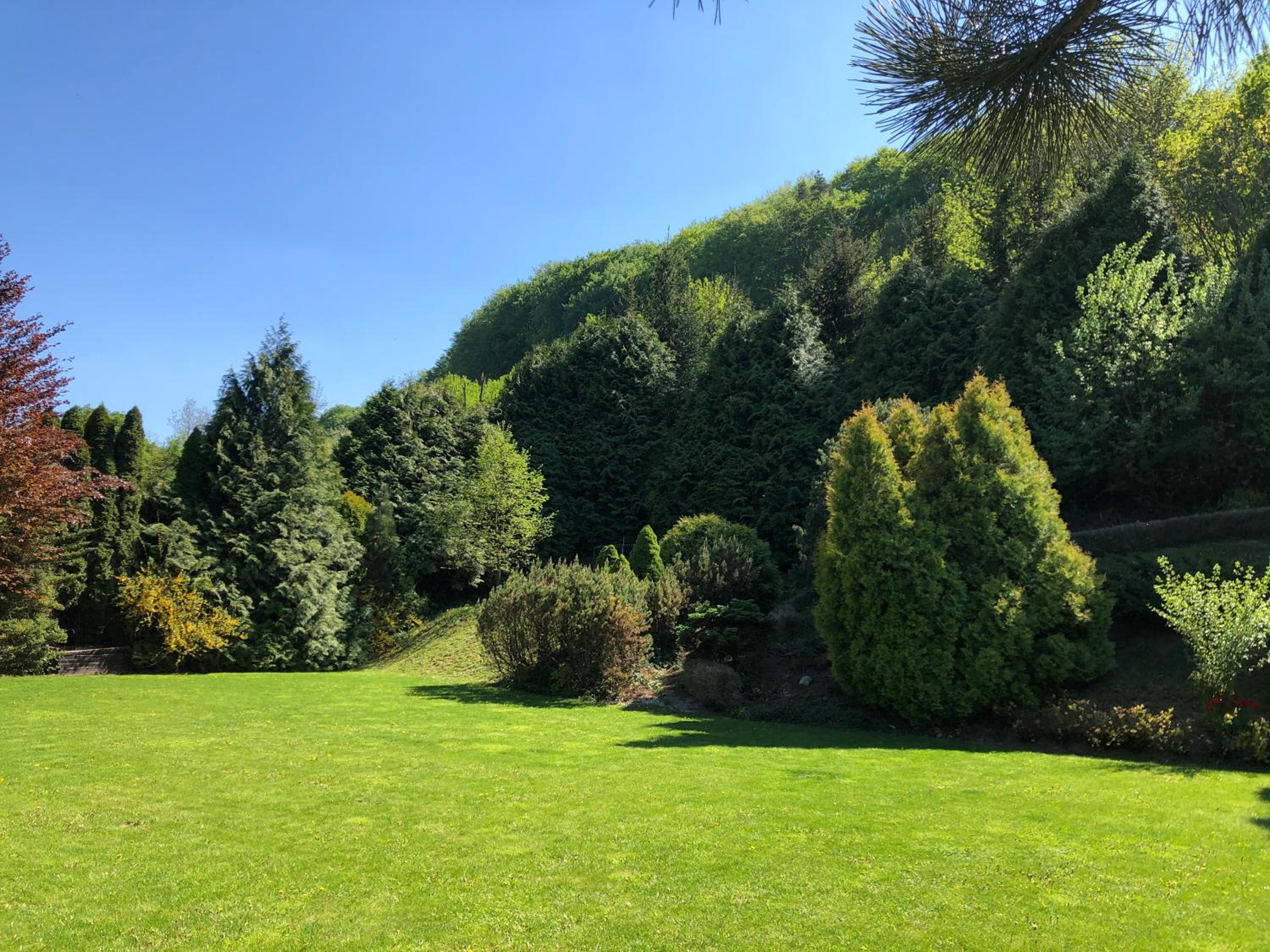 Chillgarden Apartments view 4