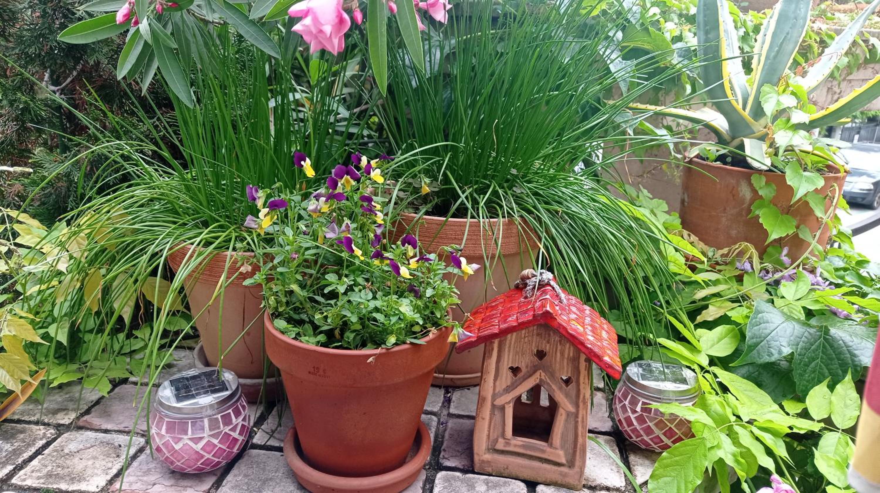 Belgrade Apartment Happy Garden