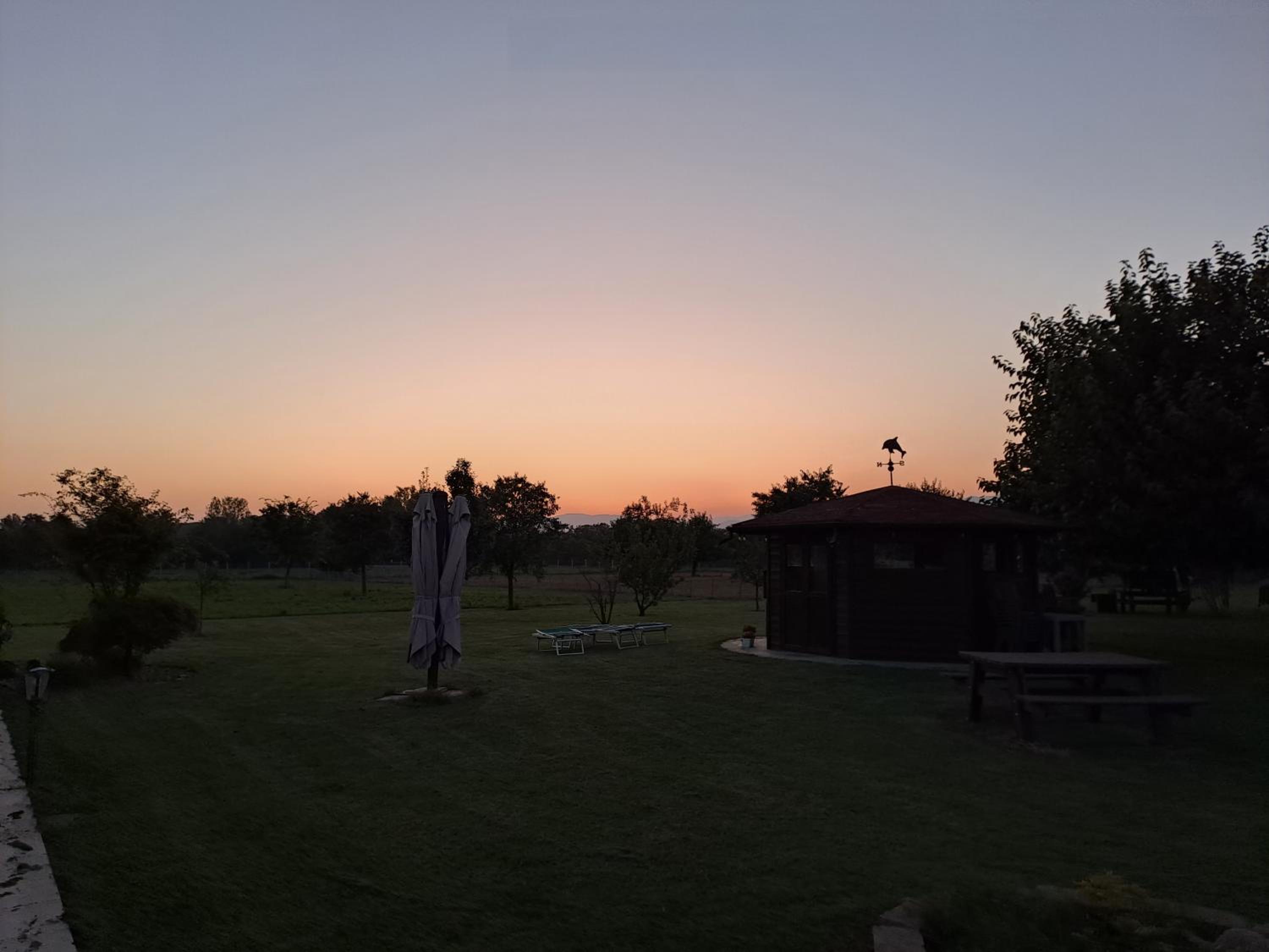 Photo 48