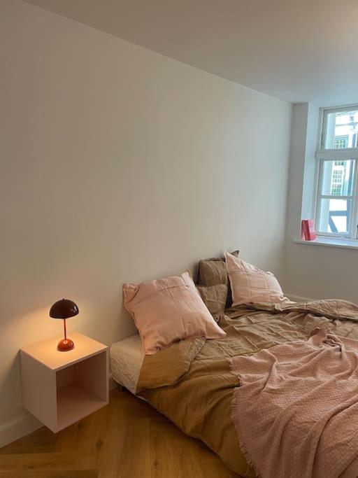 Nyrenoveret charmerende lejlighed i Odense C!