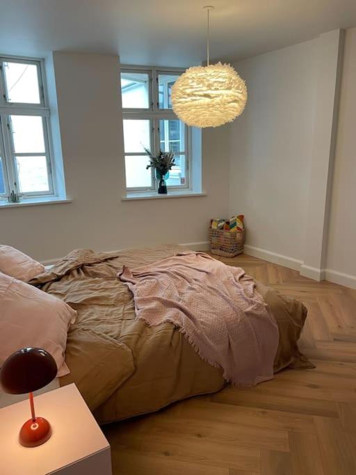 Nyrenoveret charmerende lejlighed i Odense C!