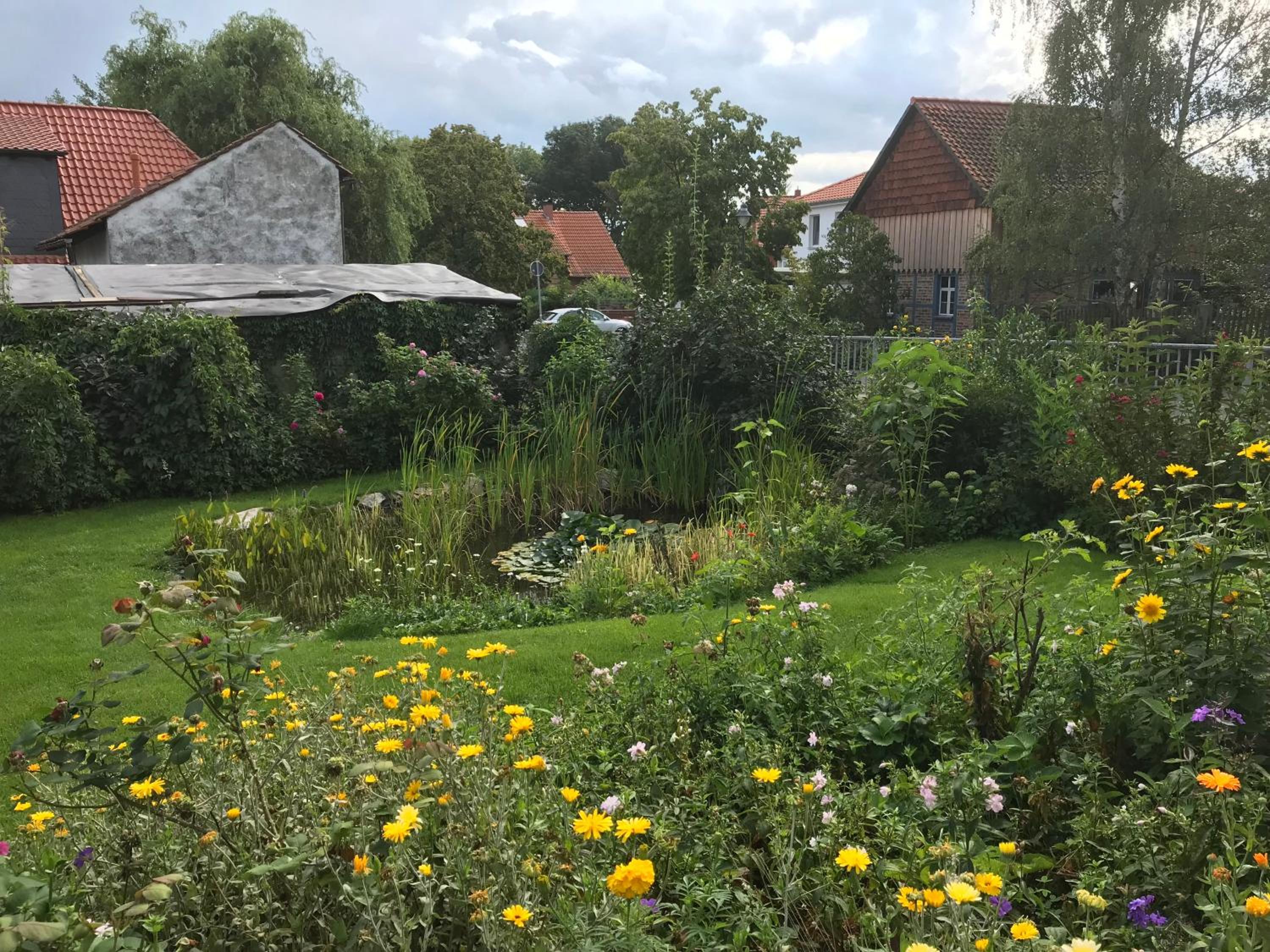 Schöne gemütliche Ferienwohnung mit Kamin II im Harz