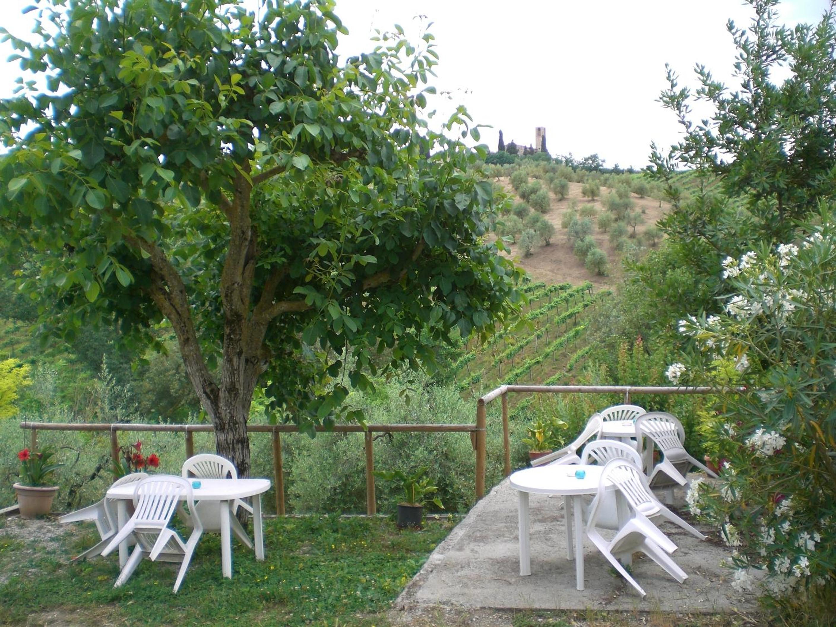 Agriturismo Podere Cappella view 5
