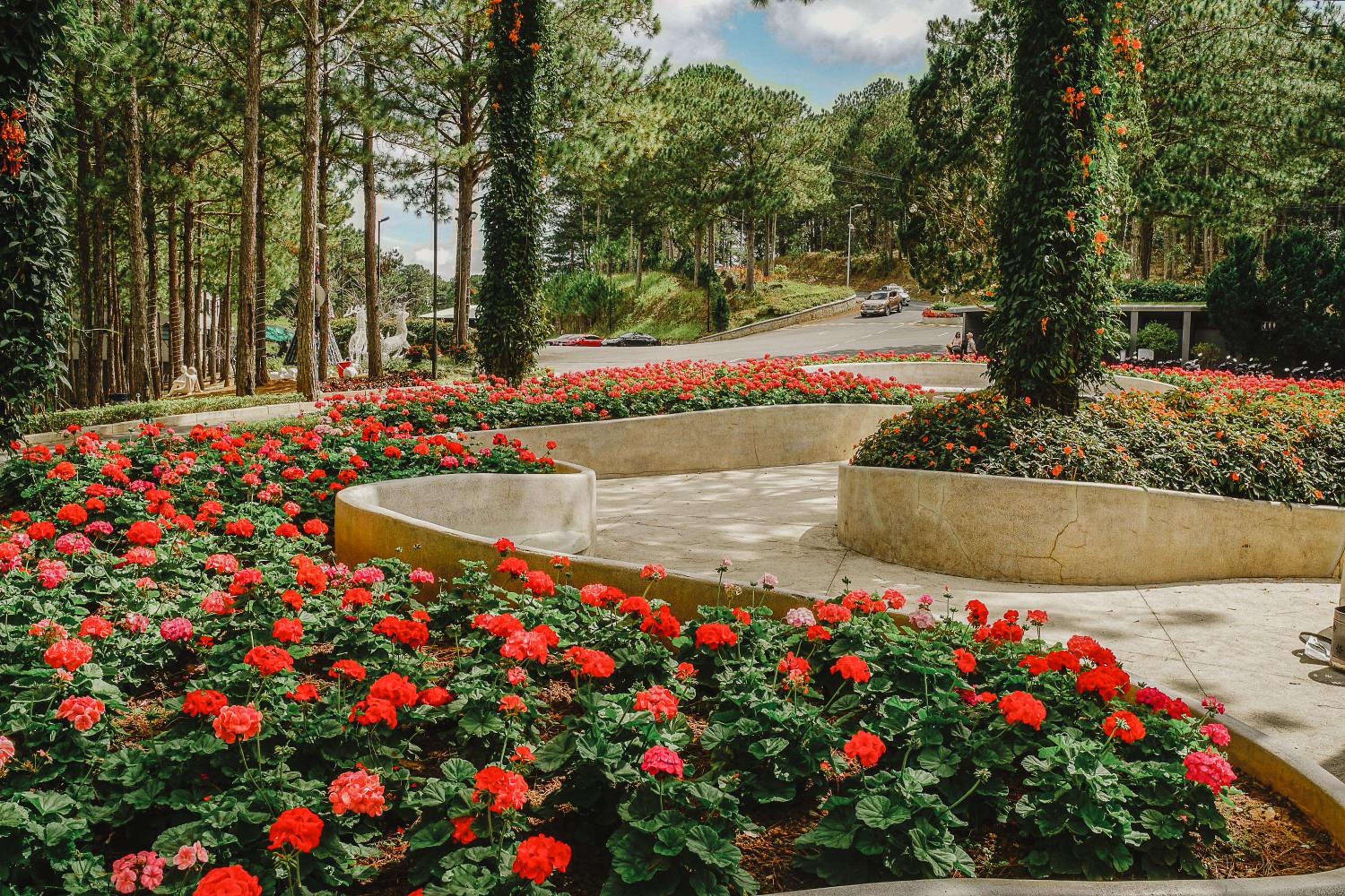 Terracotta Hotel & Resort Dalat