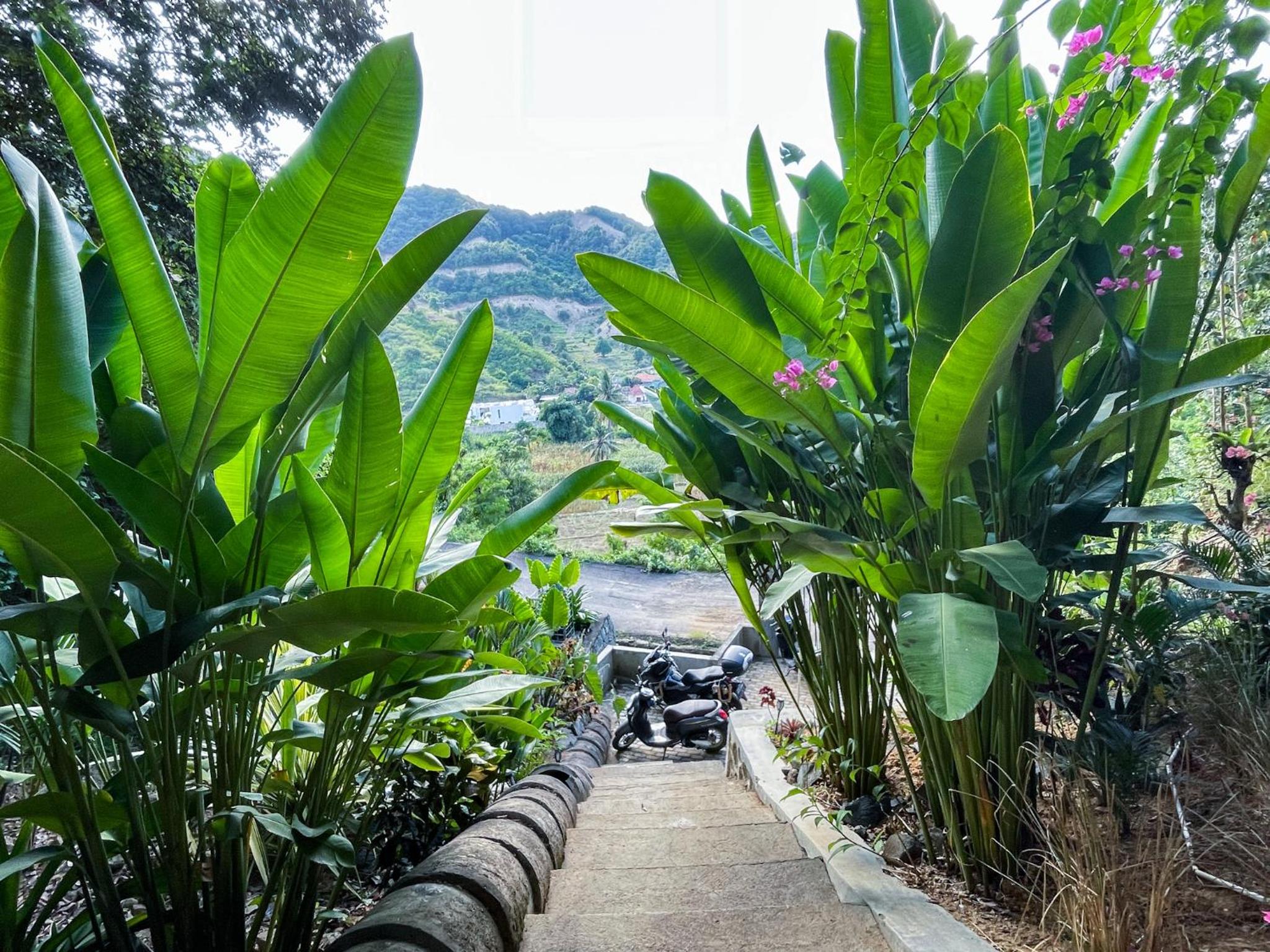 Villa Russerangan Grand Opening