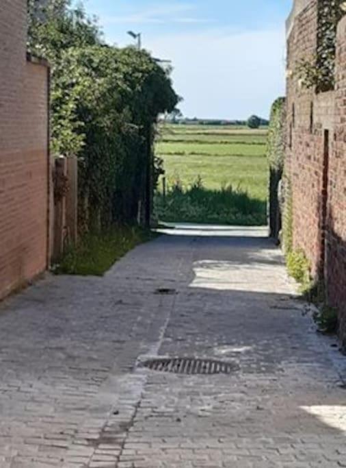 Kleine Dijk