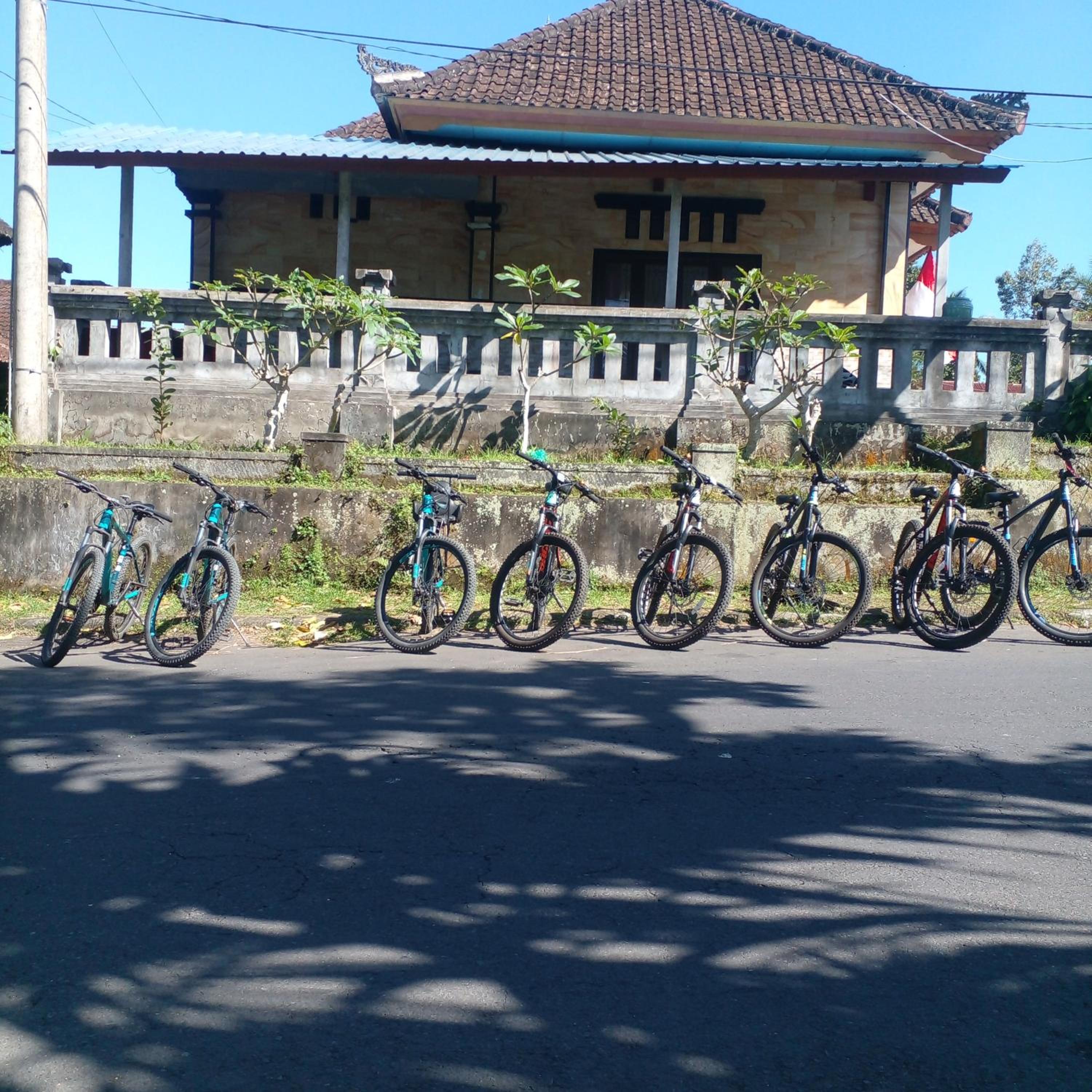 Photo 13