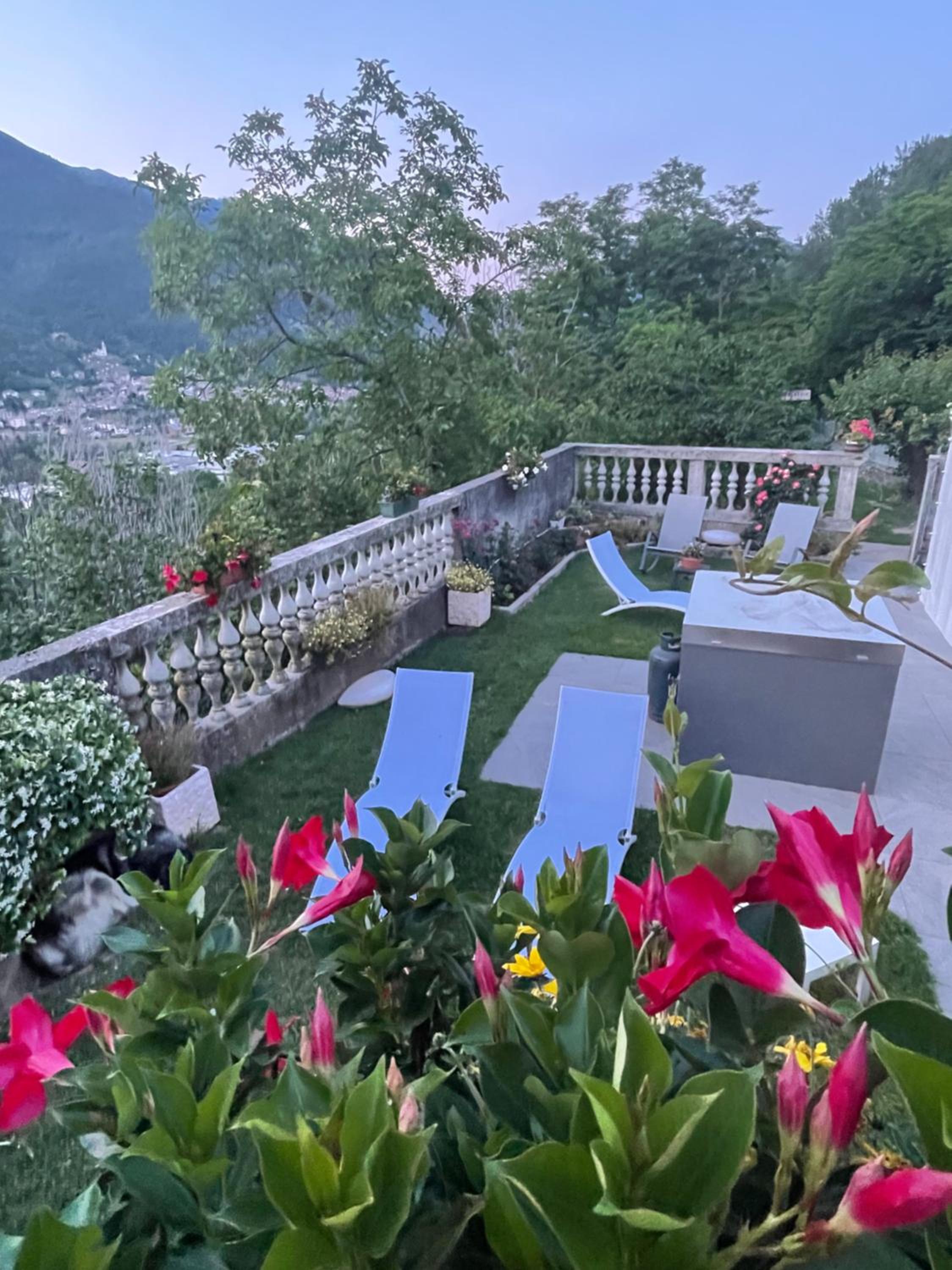 ALTRAVISTA TARZO