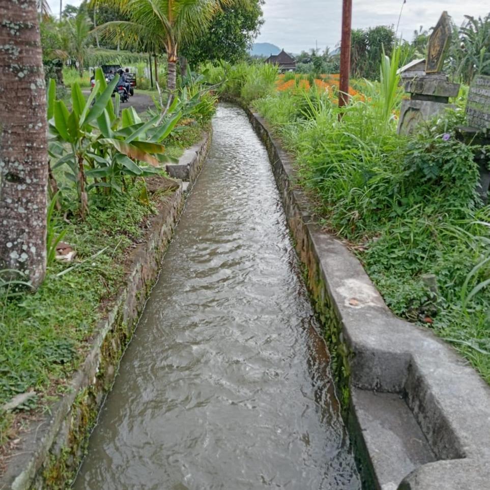 Photo 24
