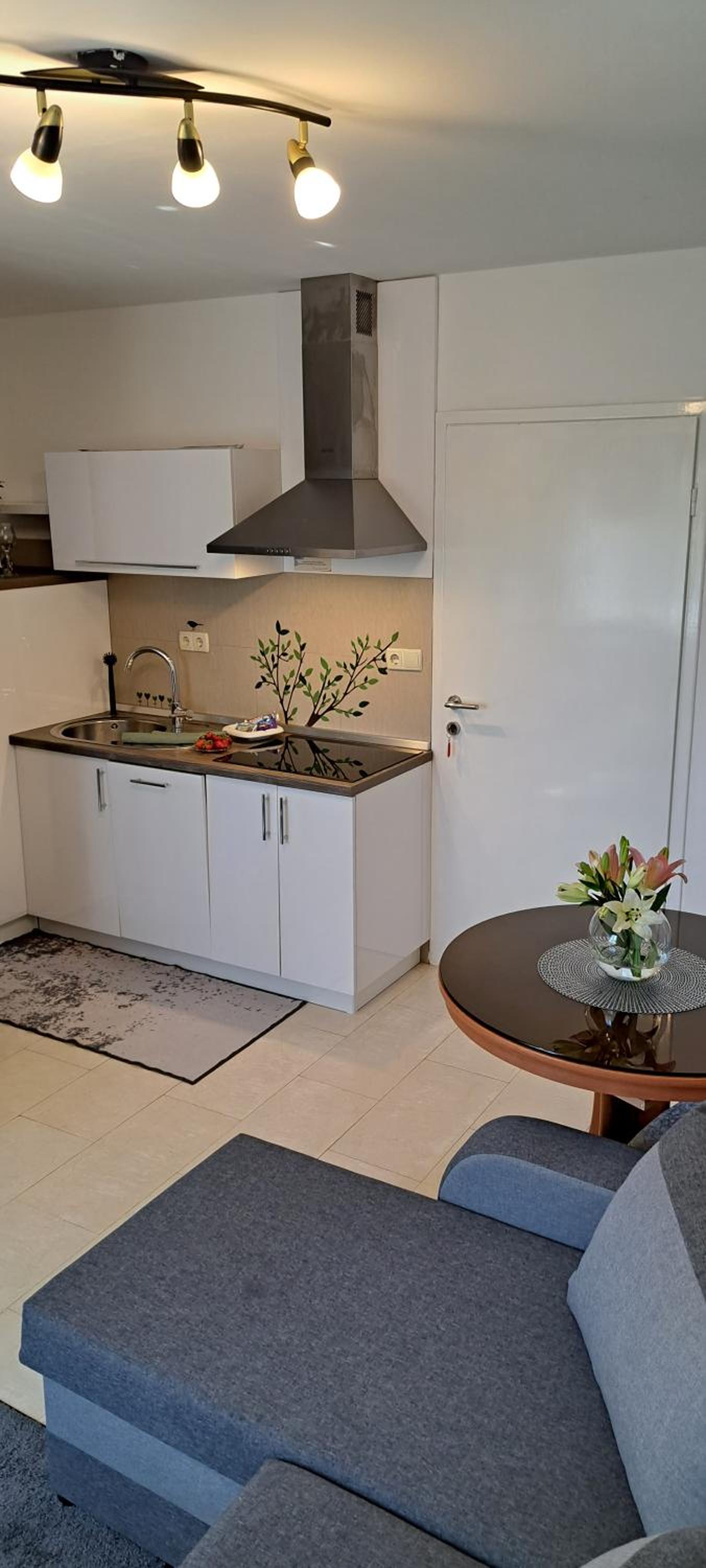 Apartments Sole