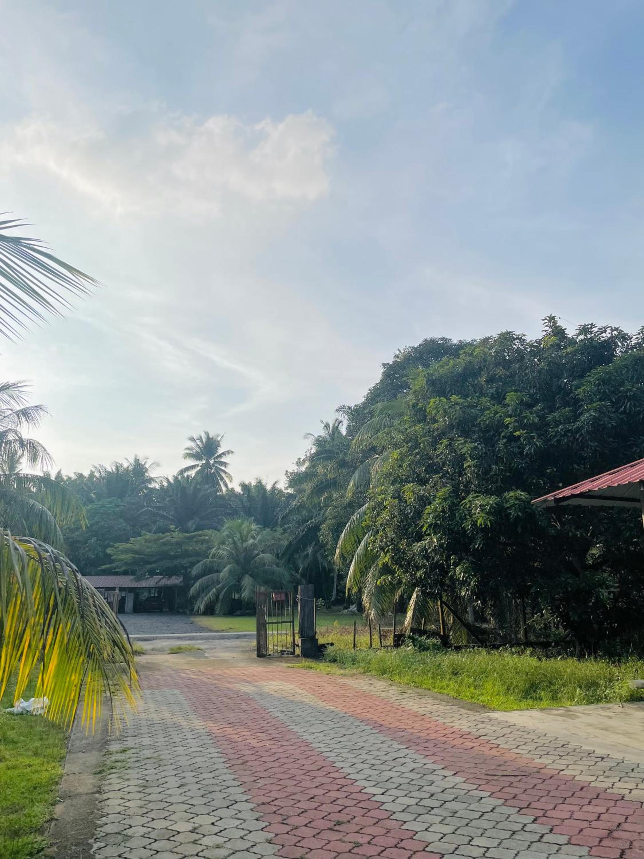 yellow homestay
