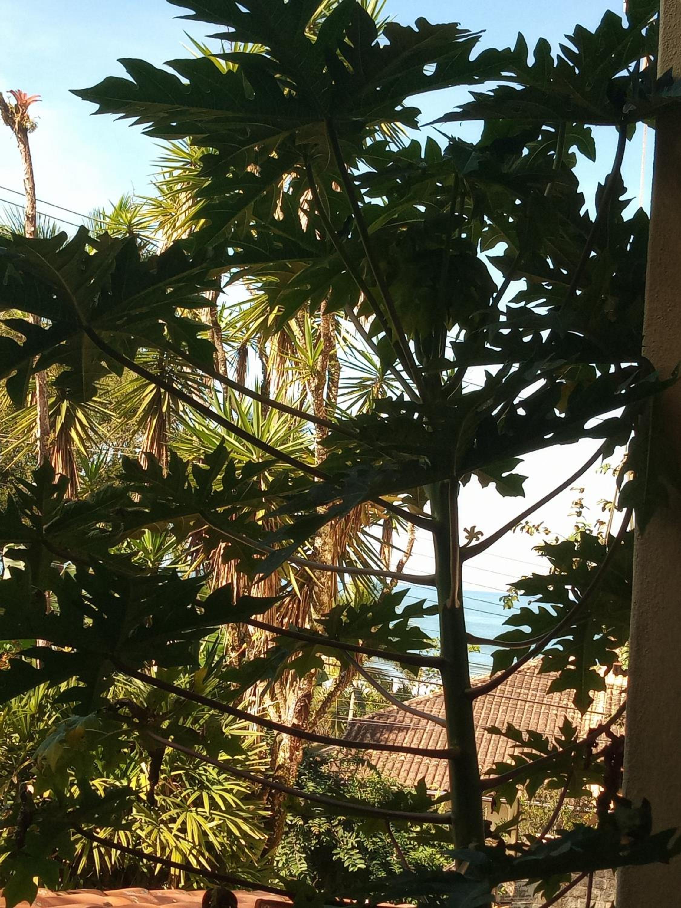 Suites Brilho do Sol