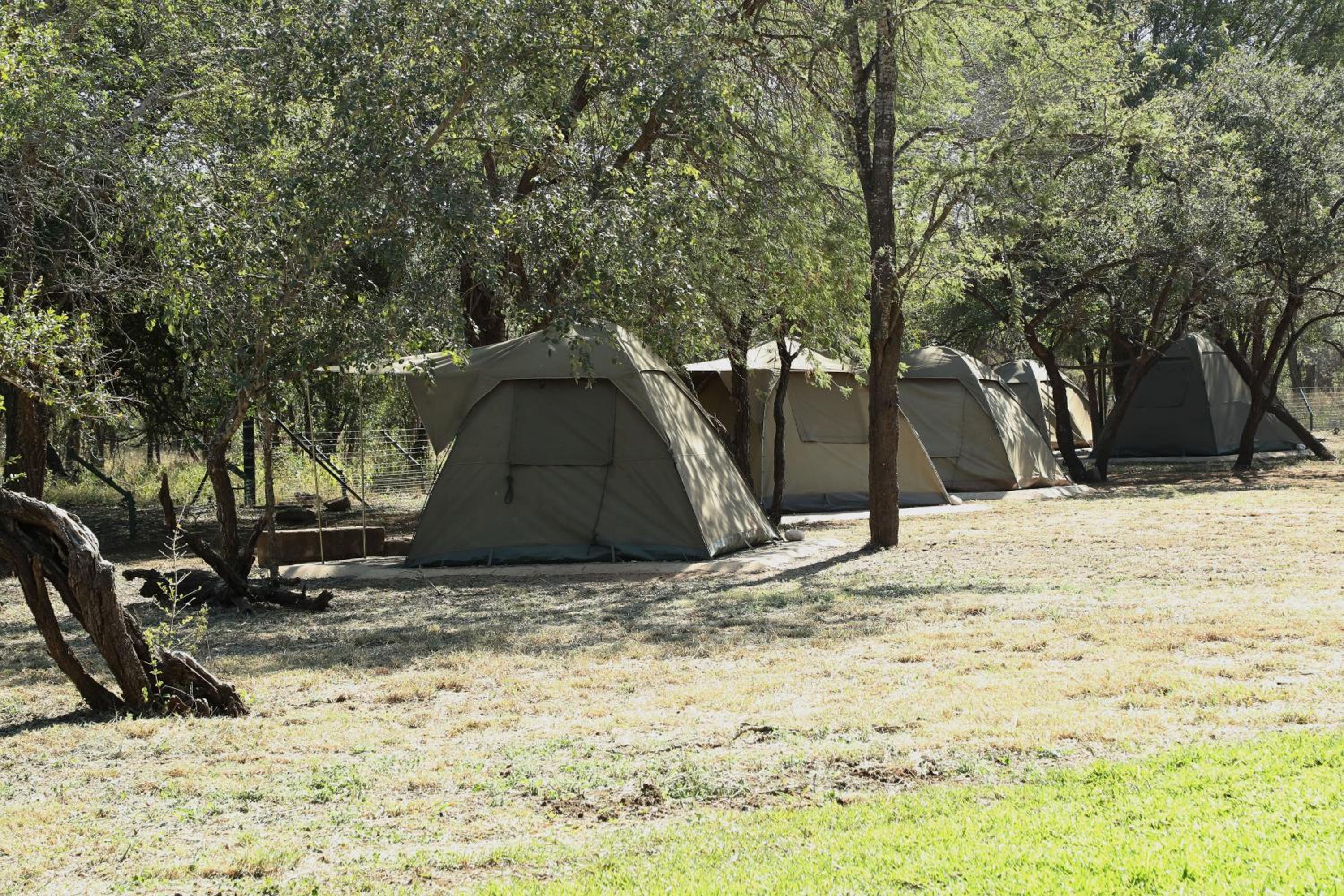 Nyala Camp - Tented Camp view 5
