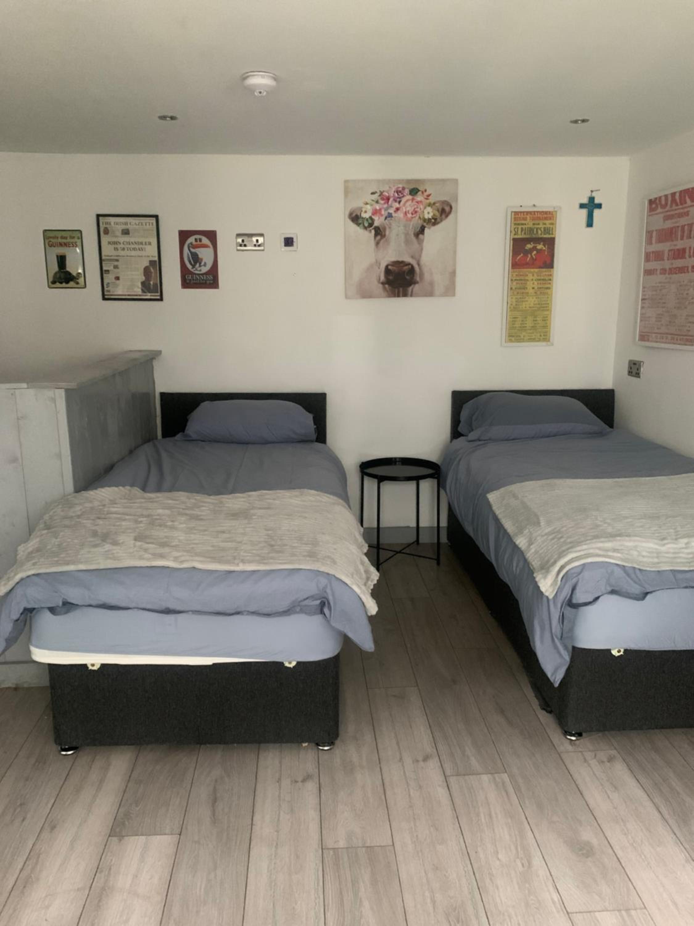 Pet-Friendly Open Plan Cabin in Dublin Sleeps 2