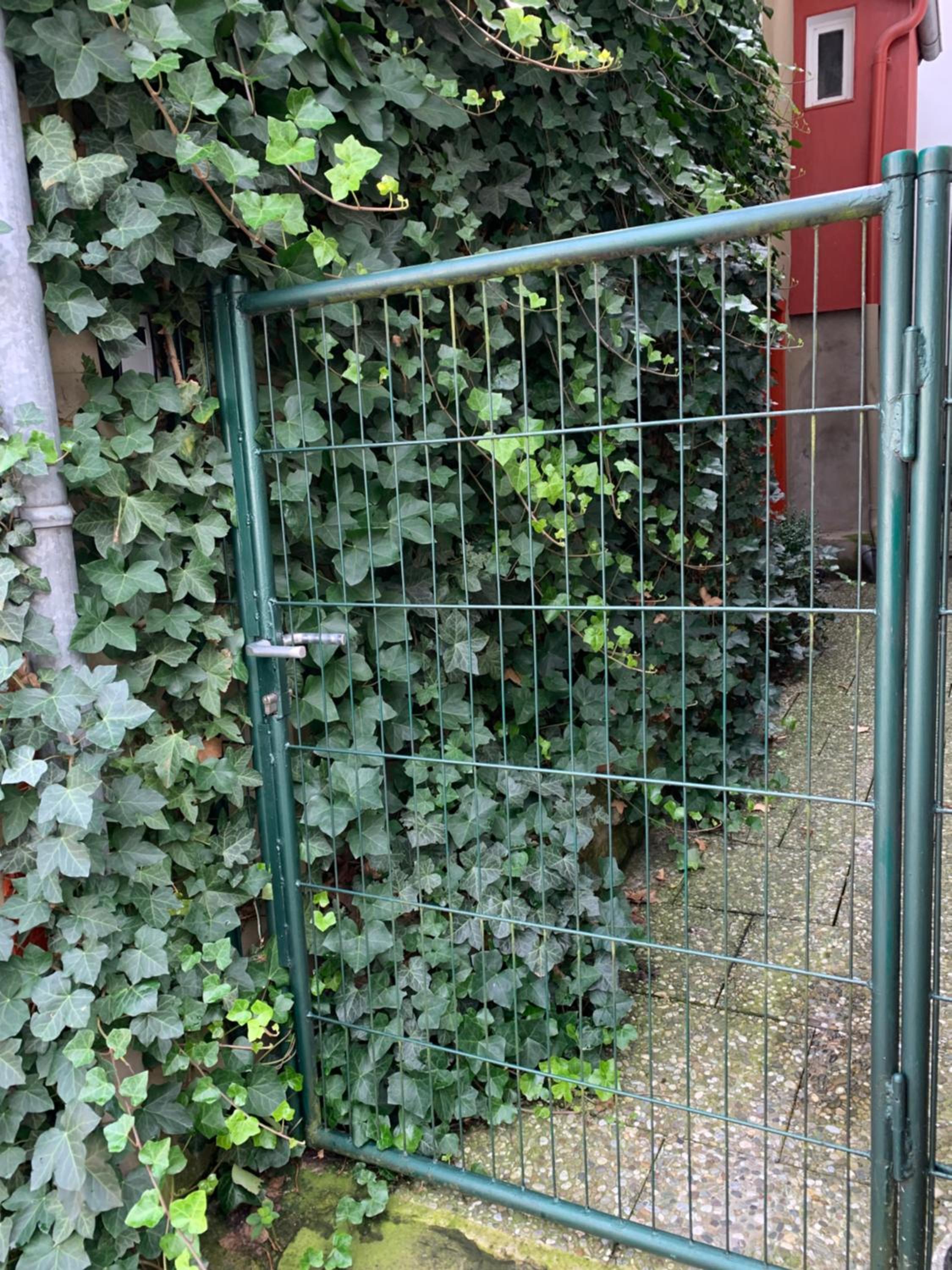 Photo 15