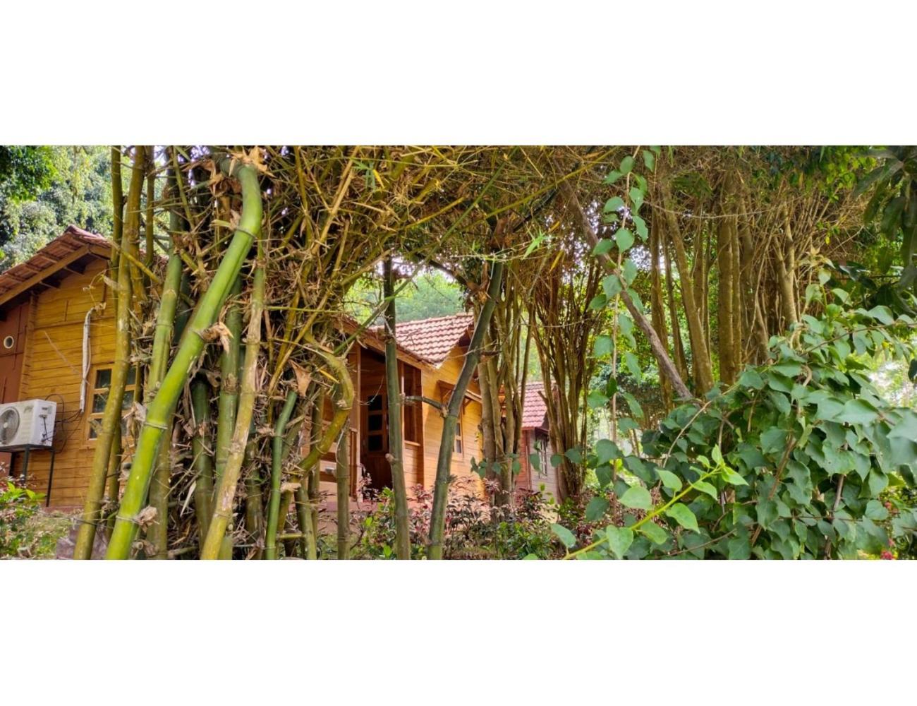 George's Cottages, Bavali, Kerala view 4