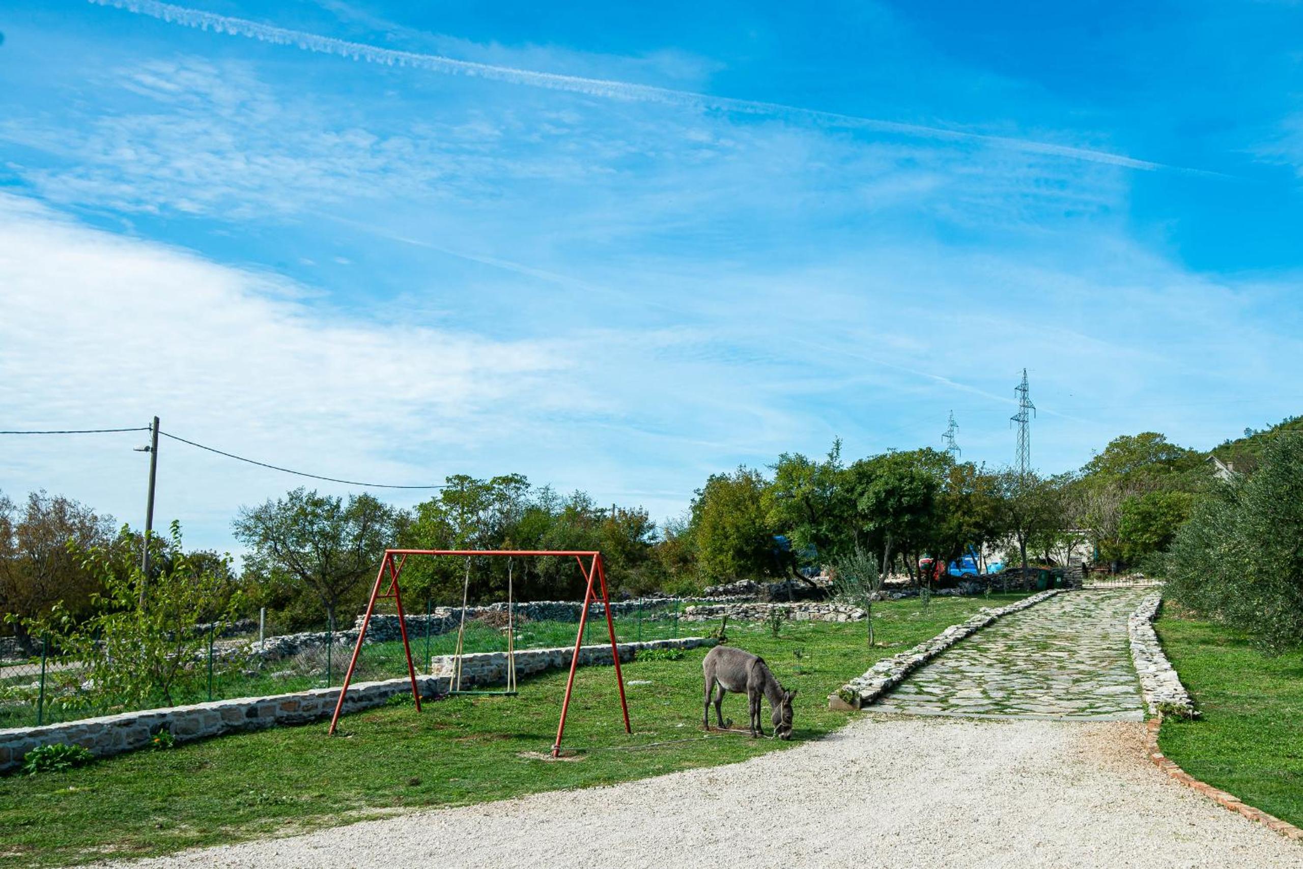 Photo 8