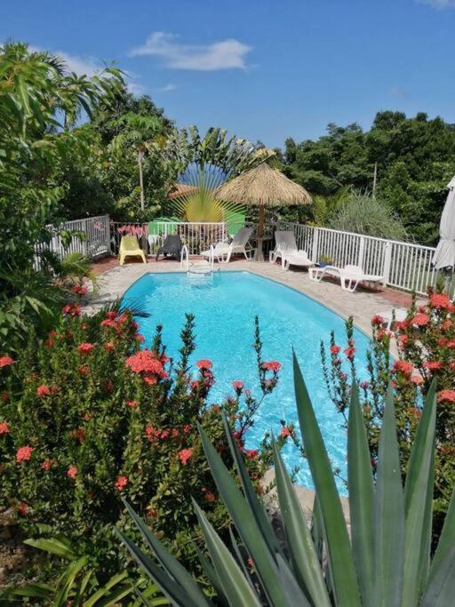 Bungalow Mabouya avec piscine