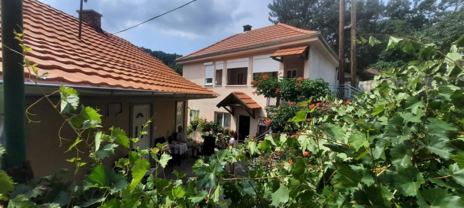 Apartmani Lovcen