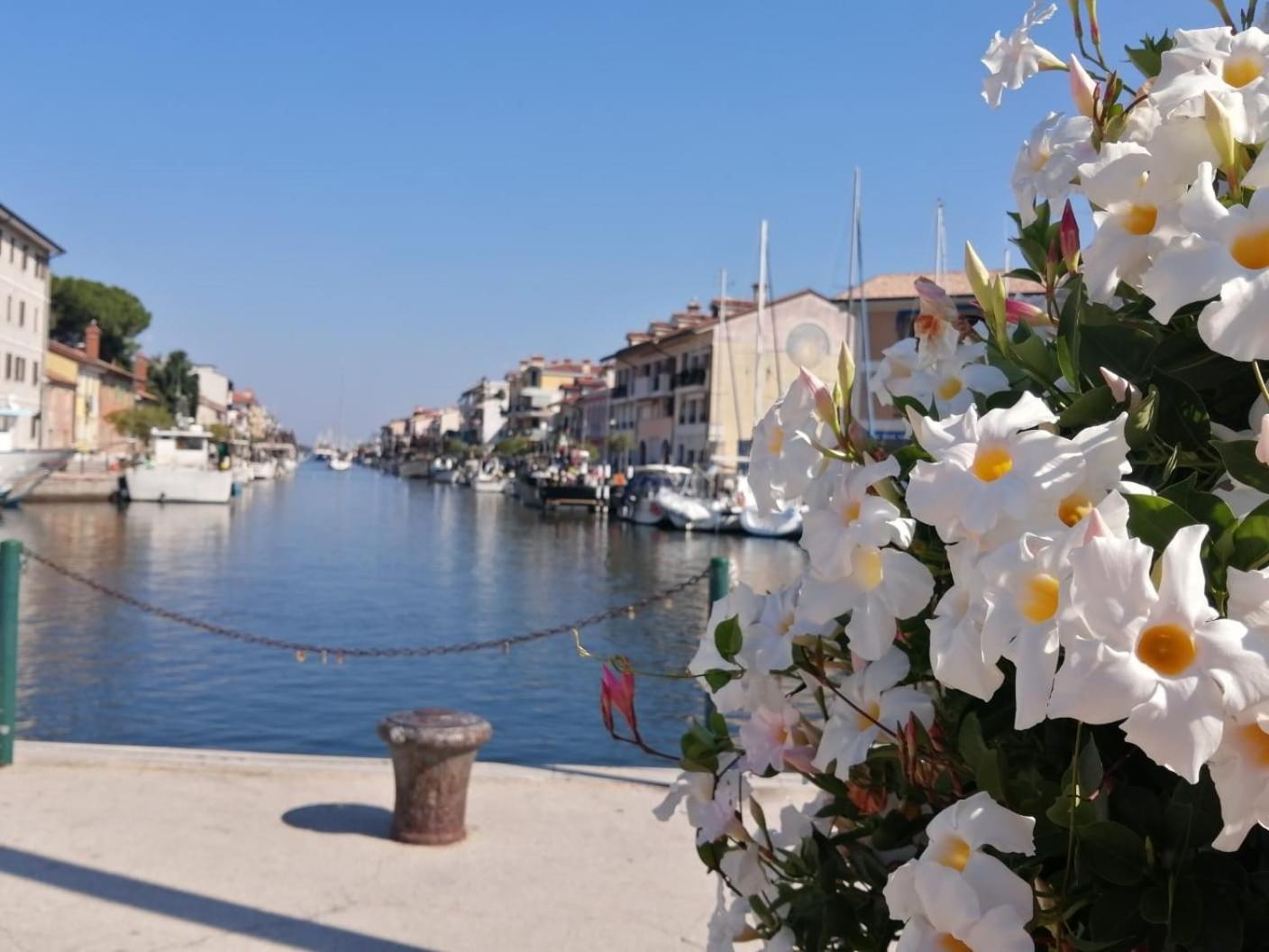 Grado-Pineta a Mare