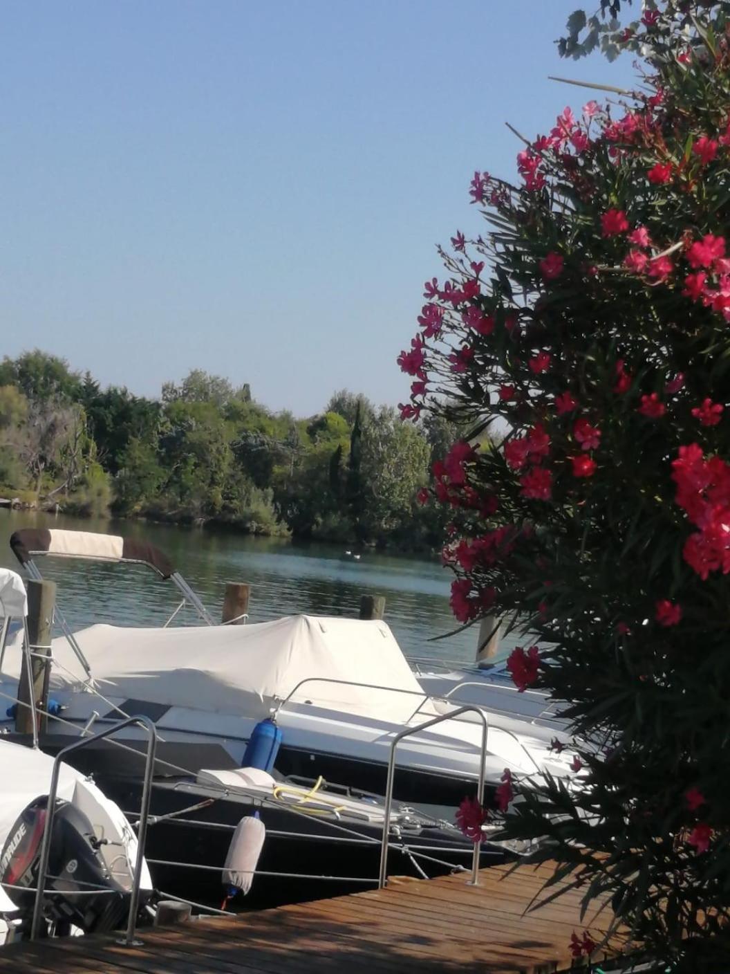 Grado-Pineta a Mare
